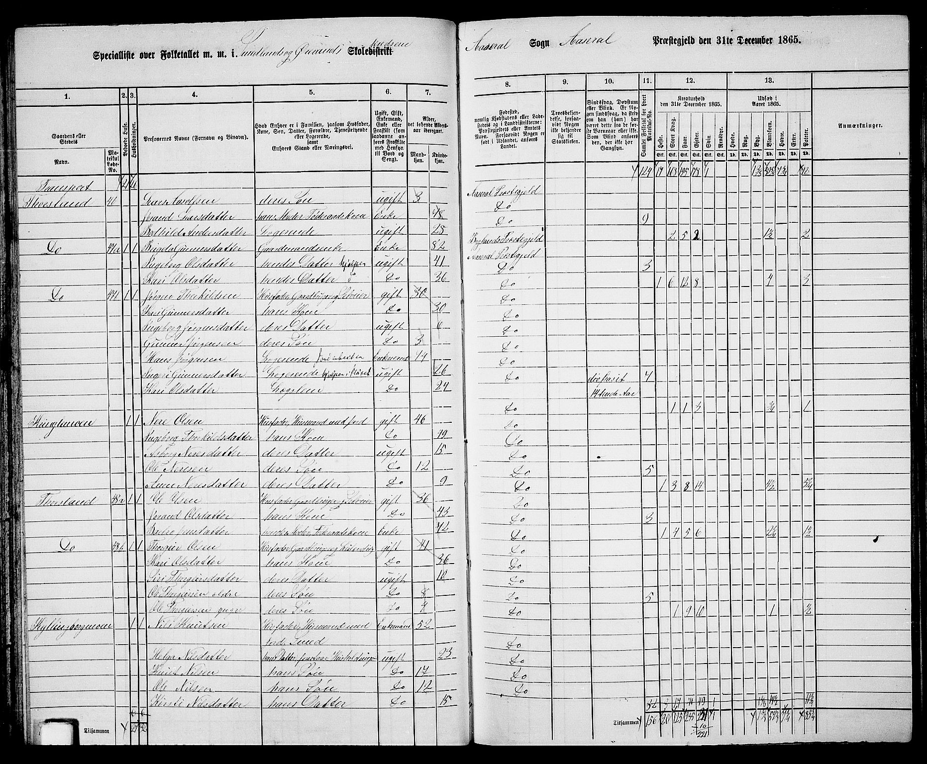 RA, 1865 census for Åseral, 1865, p. 49