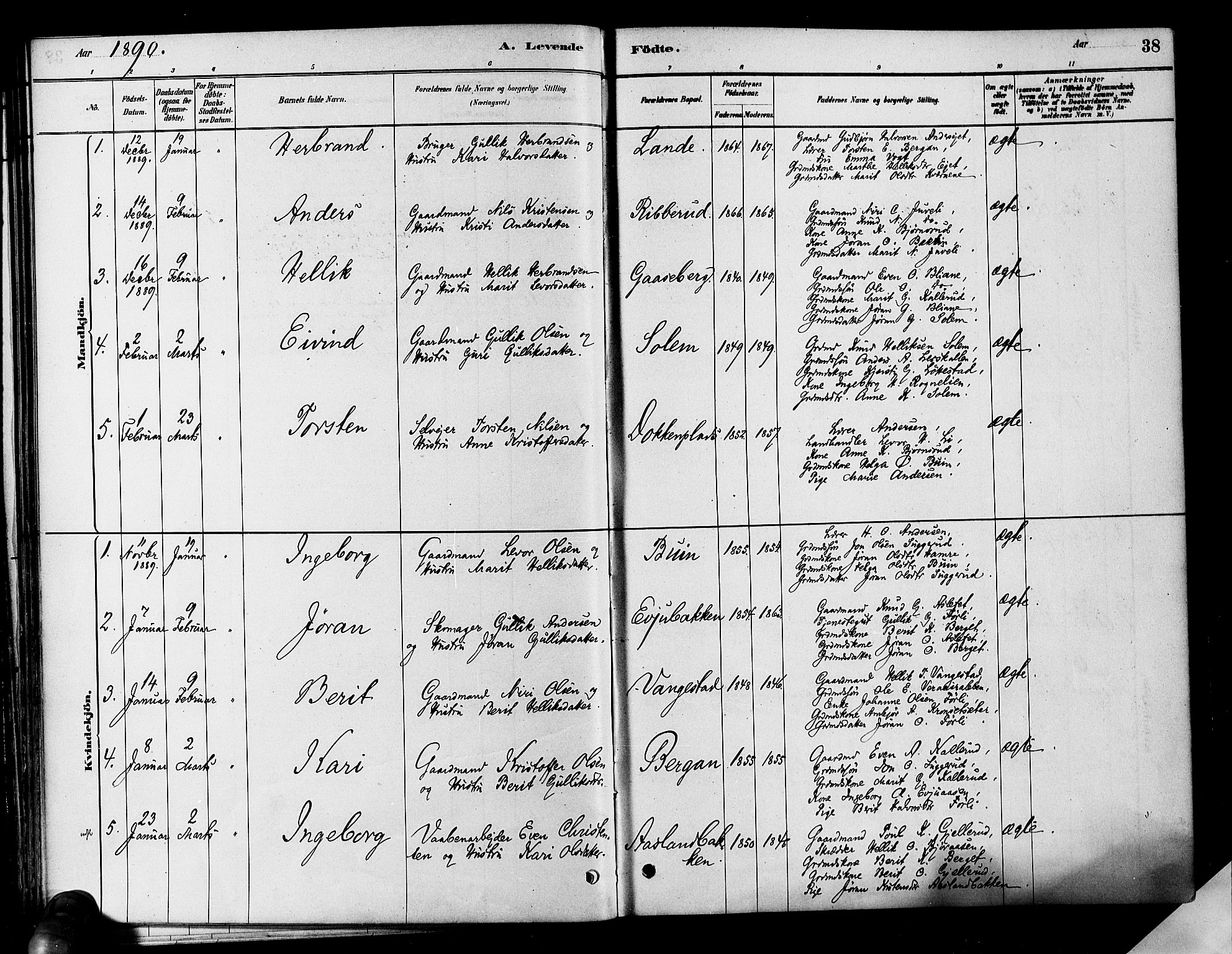 Flesberg kirkebøker, SAKO/A-18/F/Fa/L0008: Parish register (official) no. I 8, 1879-1899, p. 38