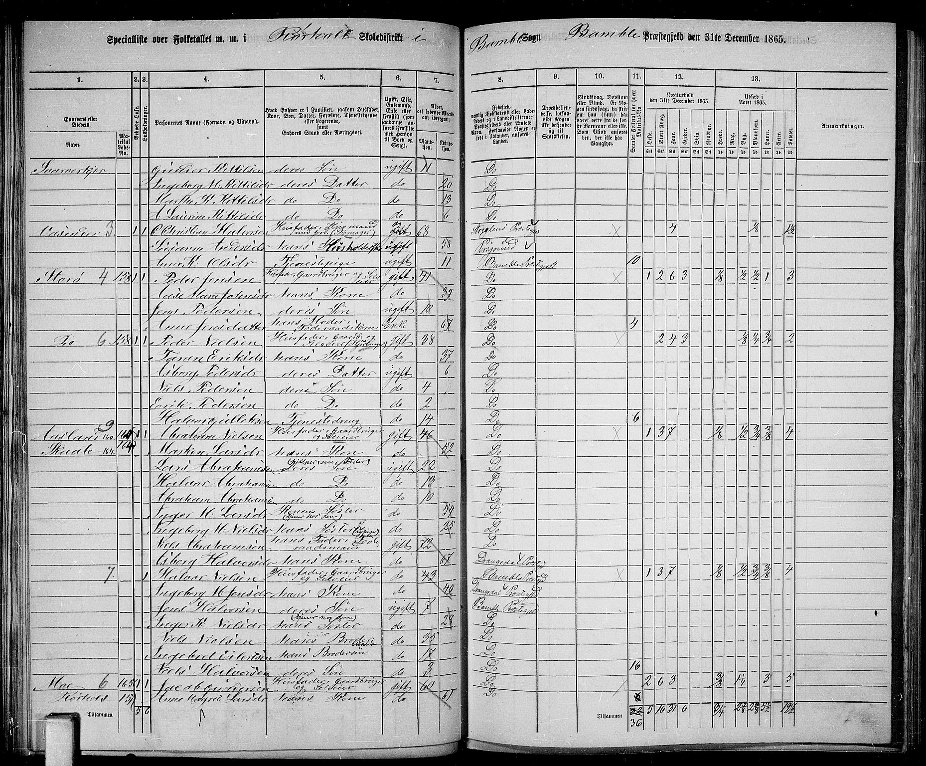 RA, 1865 census for Bamble, 1865, p. 88