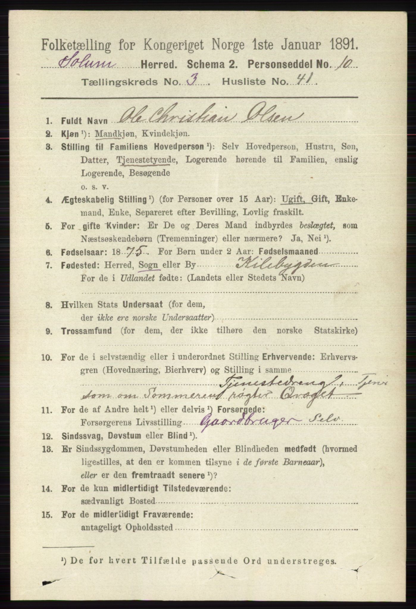 RA, 1891 census for 0818 Solum, 1891, p. 584