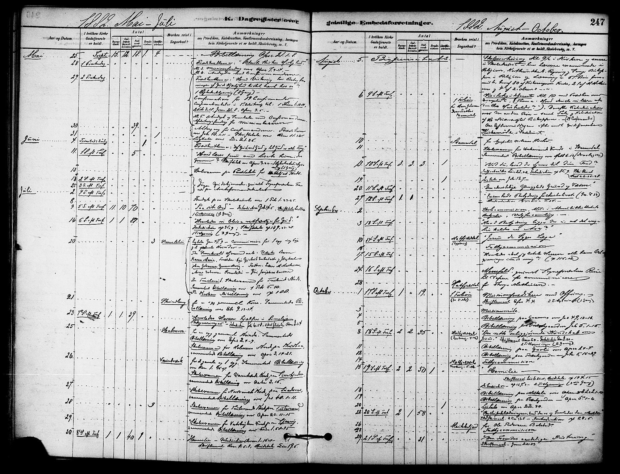 Ministerialprotokoller, klokkerbøker og fødselsregistre - Nordland, AV/SAT-A-1459/823/L0325: Parish register (official) no. 823A02, 1878-1898, p. 247