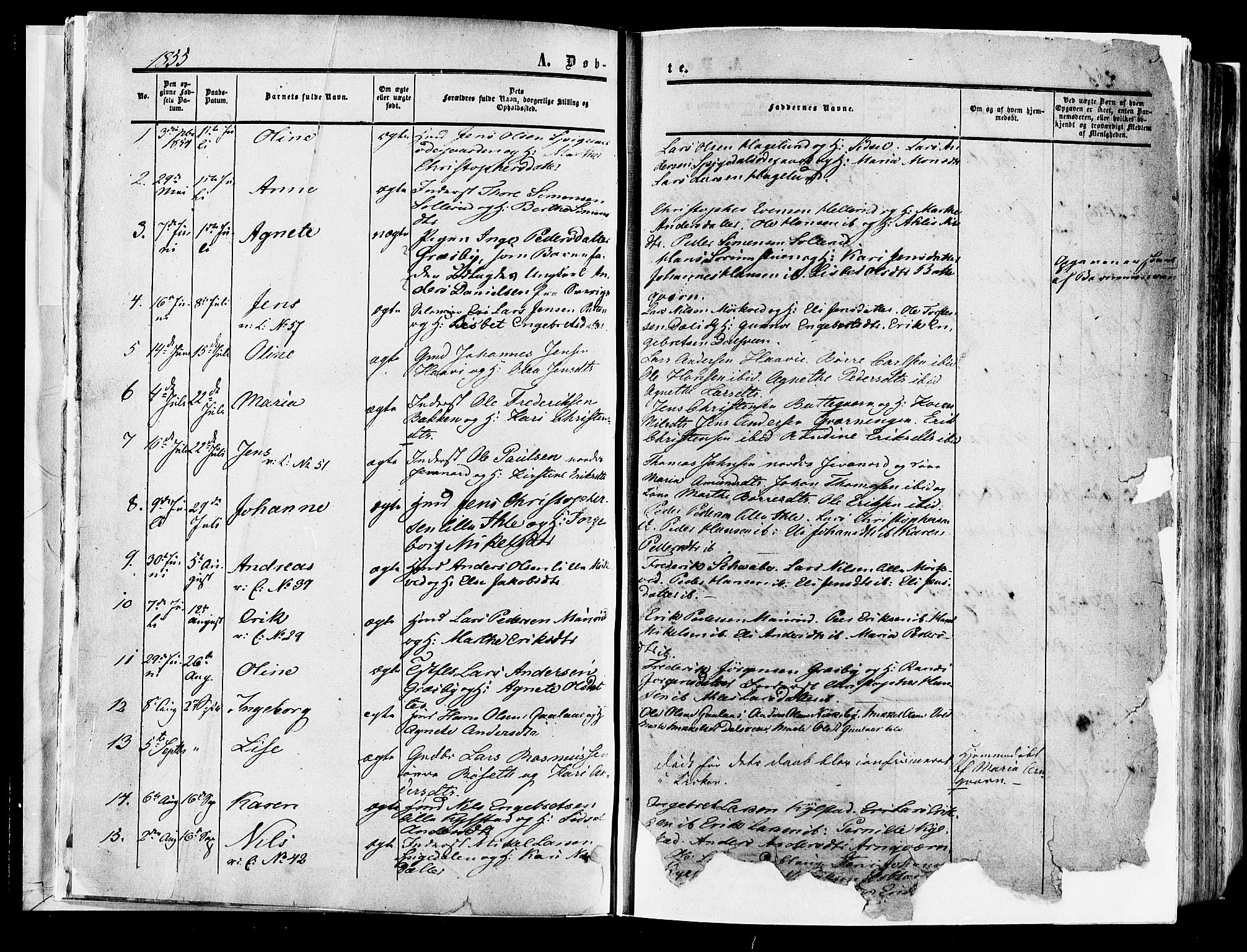 Vang prestekontor, Hedmark, AV/SAH-PREST-008/H/Ha/Haa/L0013: Parish register (official) no. 13, 1855-1879, p. 5