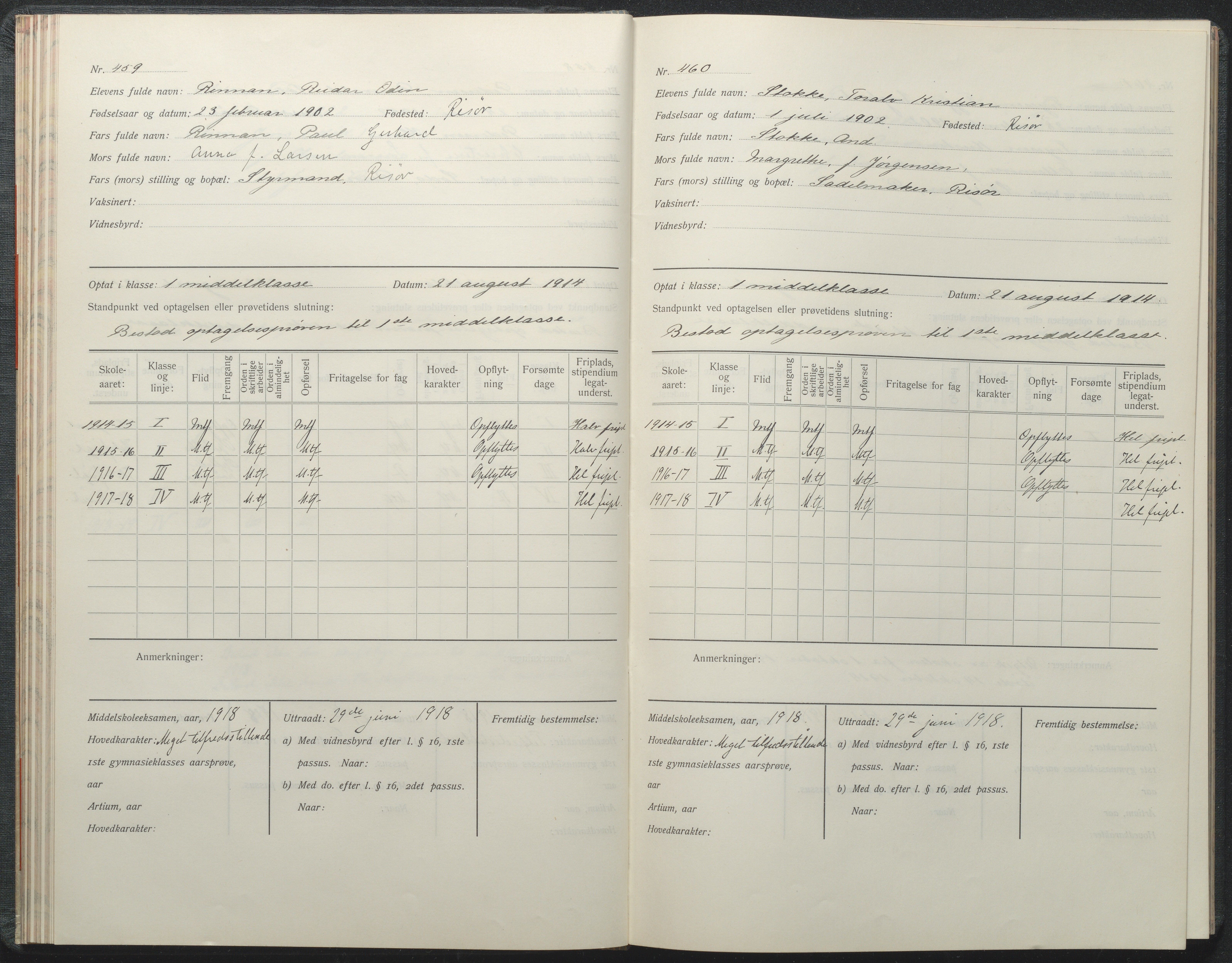 Risør kommune, AAKS/KA0901-PK/1/05/05i/L0002: Manntallsprotokoll, 1911-1925, p. 459-460