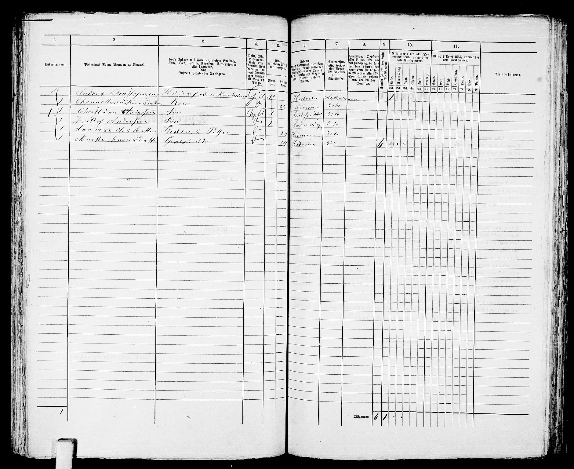 RA, 1865 census for Larvik, 1865, p. 410