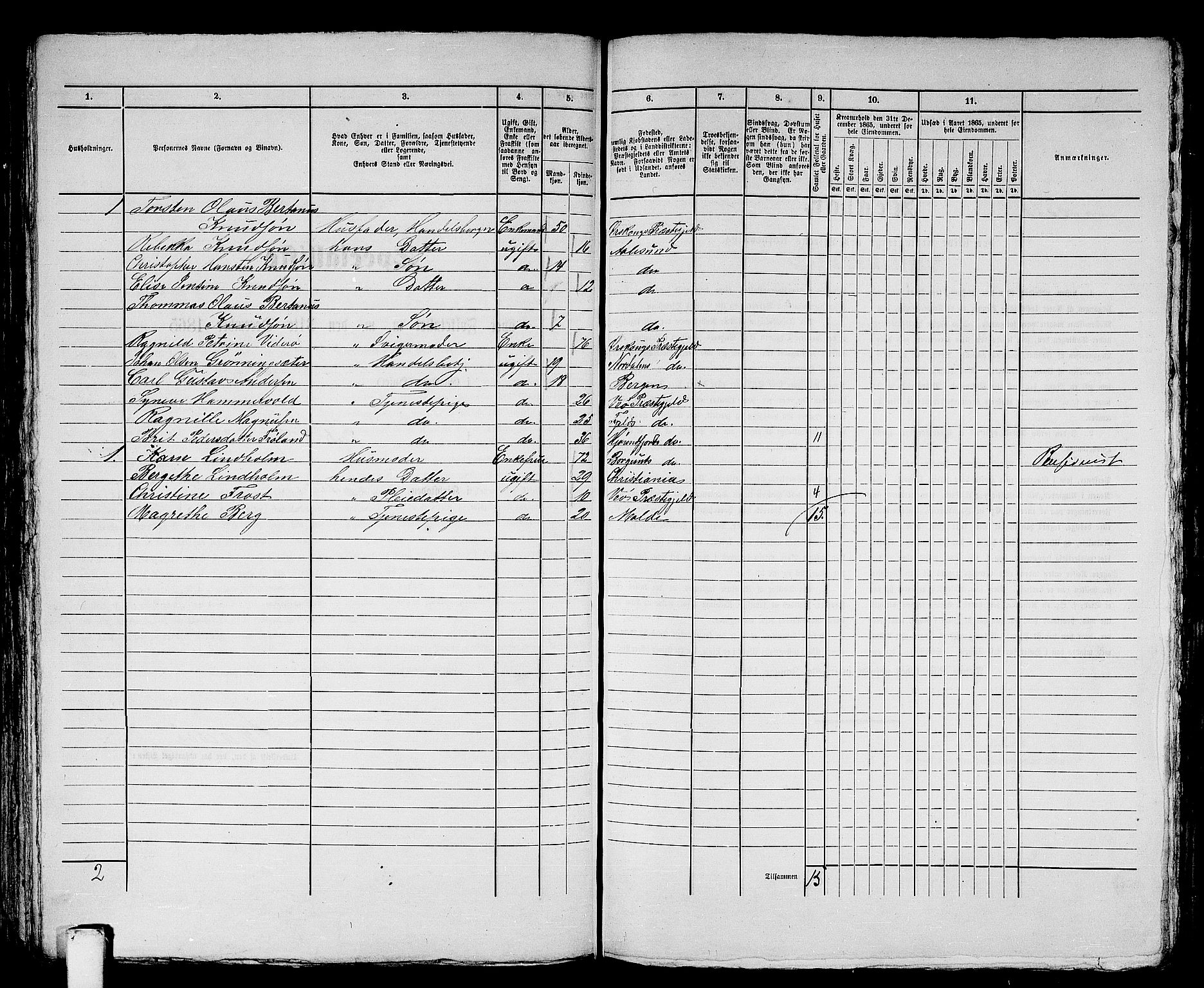 RA, 1865 census for Ålesund, 1865, p. 113