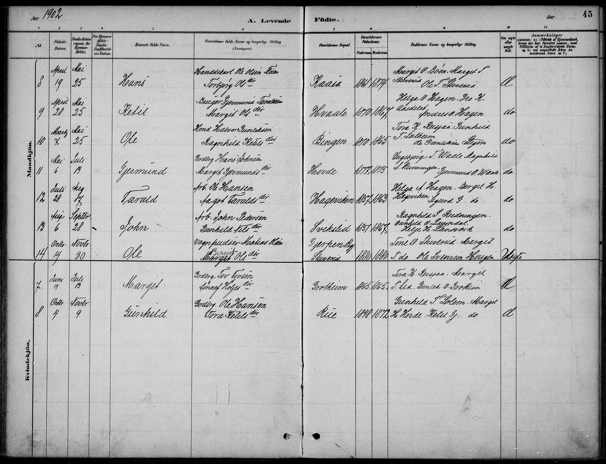 Hjartdal kirkebøker, SAKO/A-270/F/Fc/L0002: Parish register (official) no. III 2, 1880-1936, p. 45