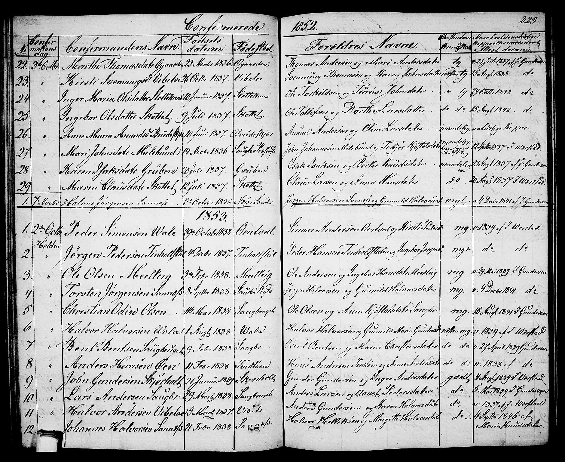 Holla kirkebøker, AV/SAKO-A-272/G/Ga/L0003: Parish register (copy) no. I 3, 1849-1866, p. 223