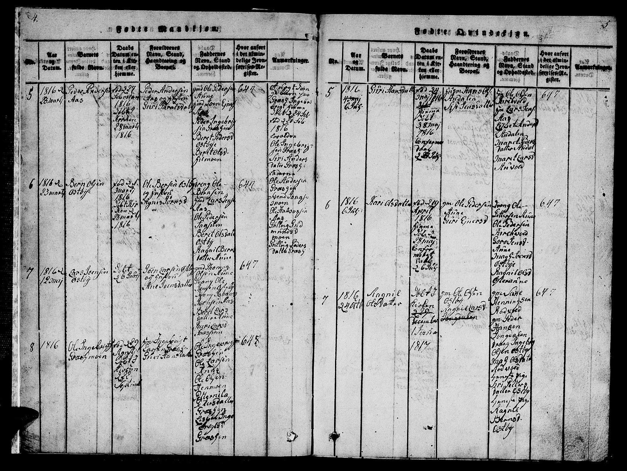 Ministerialprotokoller, klokkerbøker og fødselsregistre - Sør-Trøndelag, SAT/A-1456/698/L1164: Parish register (copy) no. 698C01, 1816-1861, p. 4-5