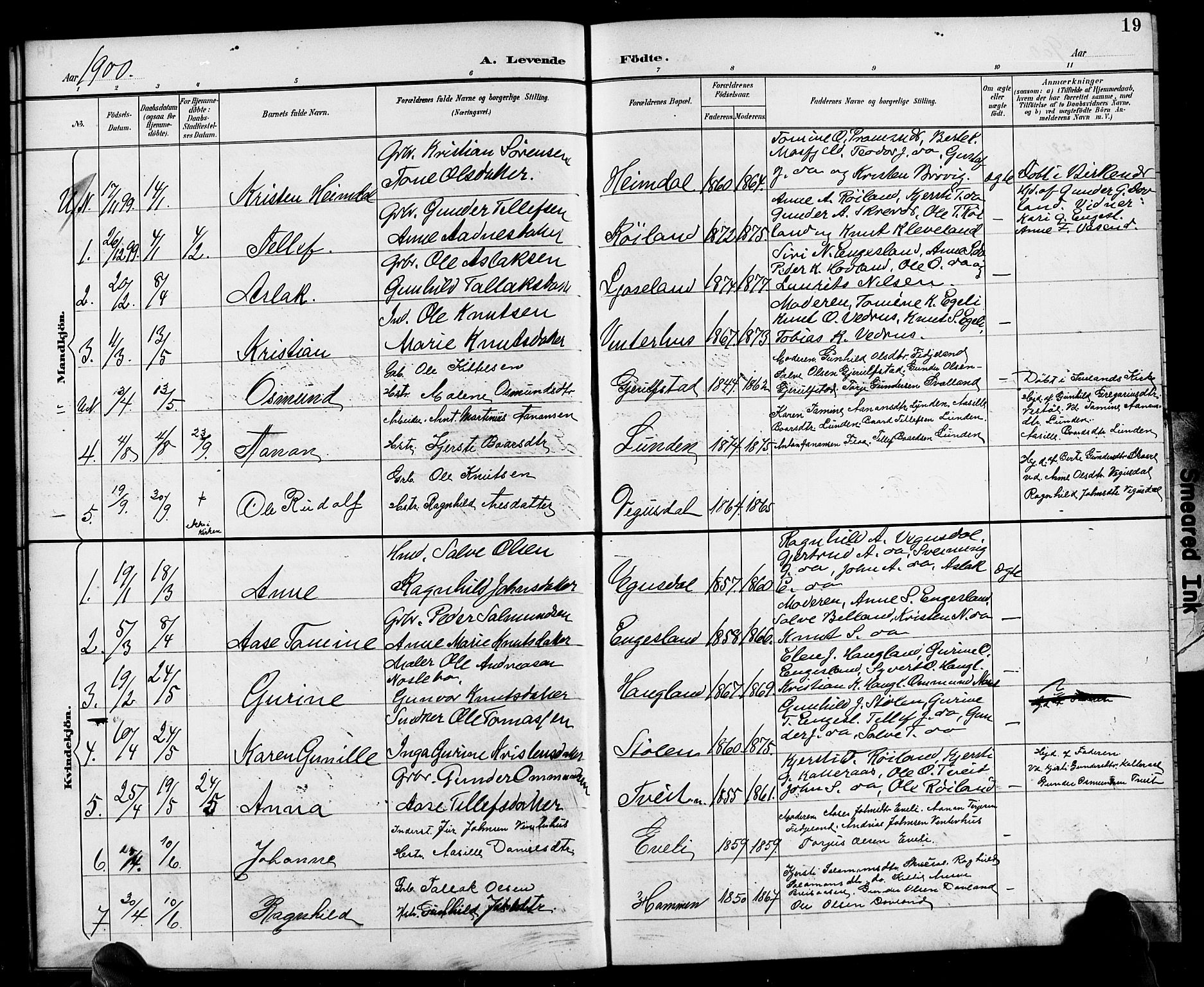 Herefoss sokneprestkontor, SAK/1111-0019/F/Fb/Fbb/L0003: Parish register (copy) no. B 3, 1892-1917, p. 19
