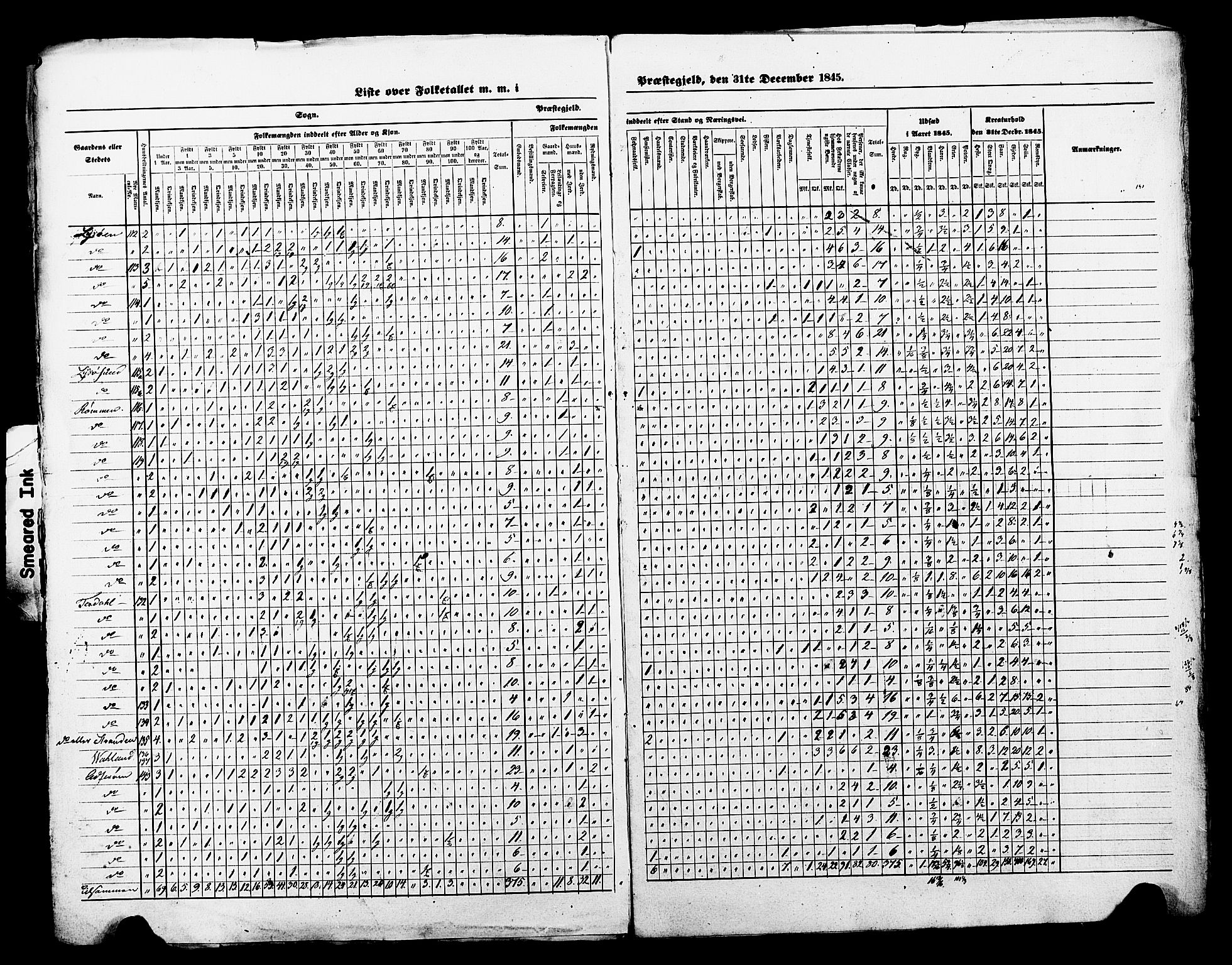 , Census 1845 for Åfjord, 1845, p. 11