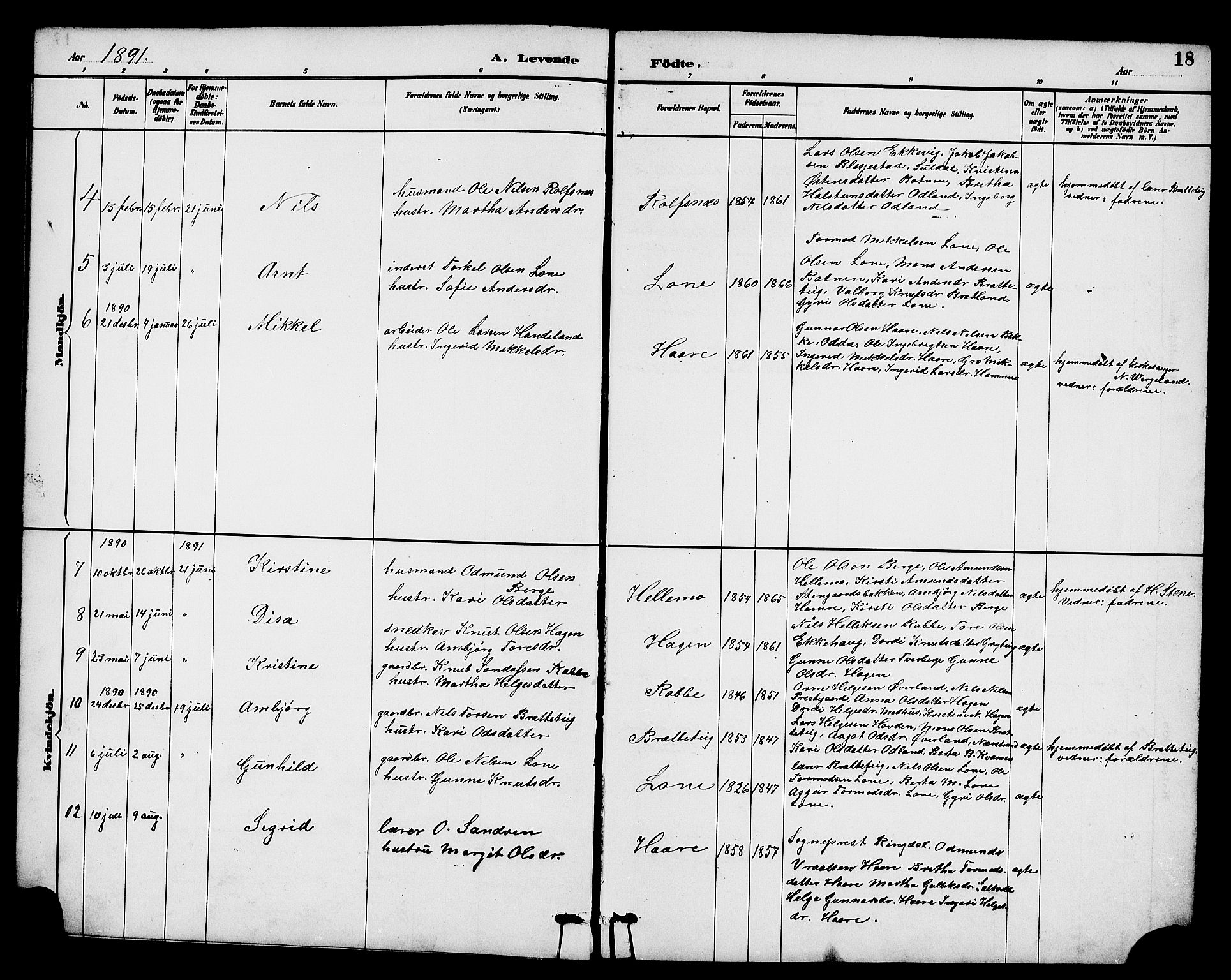 Røldal sokneprestembete, SAB/A-100247: Parish register (copy) no. A 3, 1887-1917, p. 18