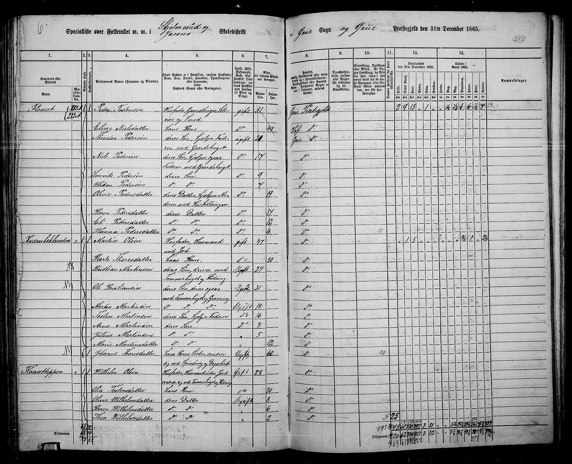 RA, 1865 census for Grue, 1865, p. 246