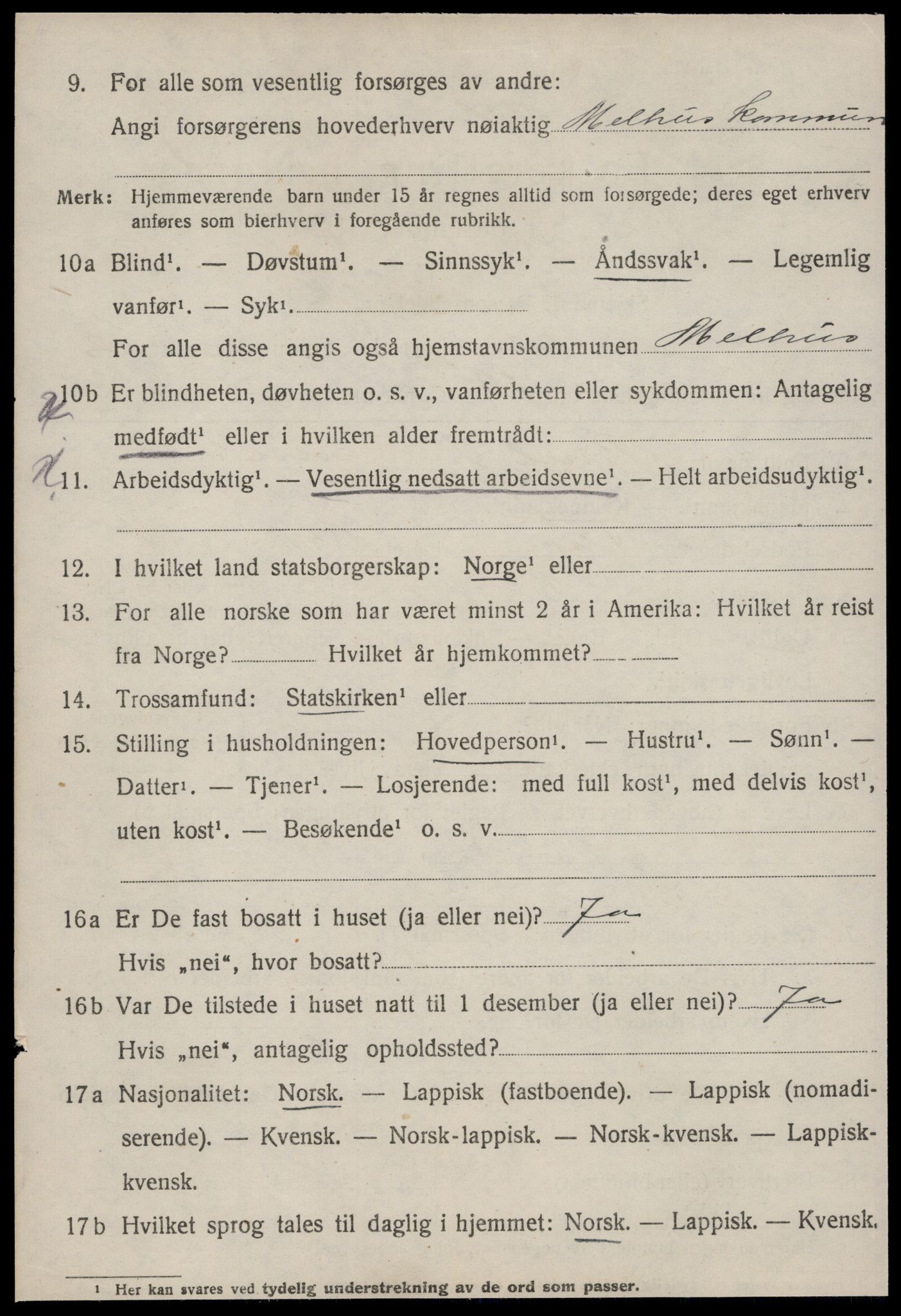 SAT, 1920 census for Melhus, 1920, p. 2592