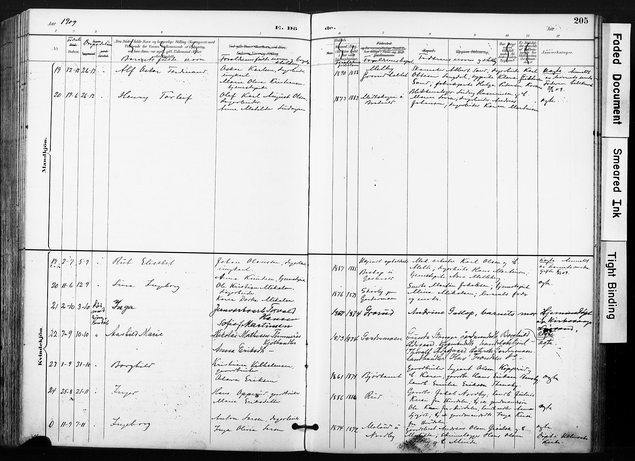 Ullensaker prestekontor Kirkebøker, SAO/A-10236a/F/Fb/L0002: Parish register (official) no. II 2, 1894-1909, p. 205