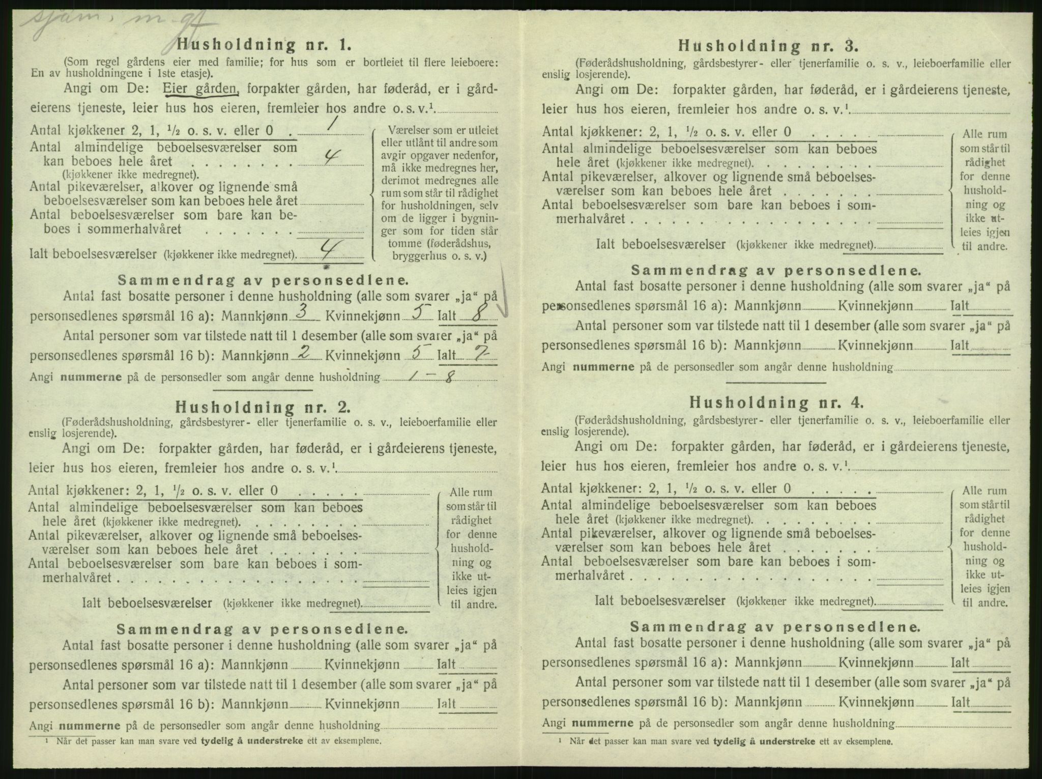 SAT, 1920 census for Vik, 1920, p. 342