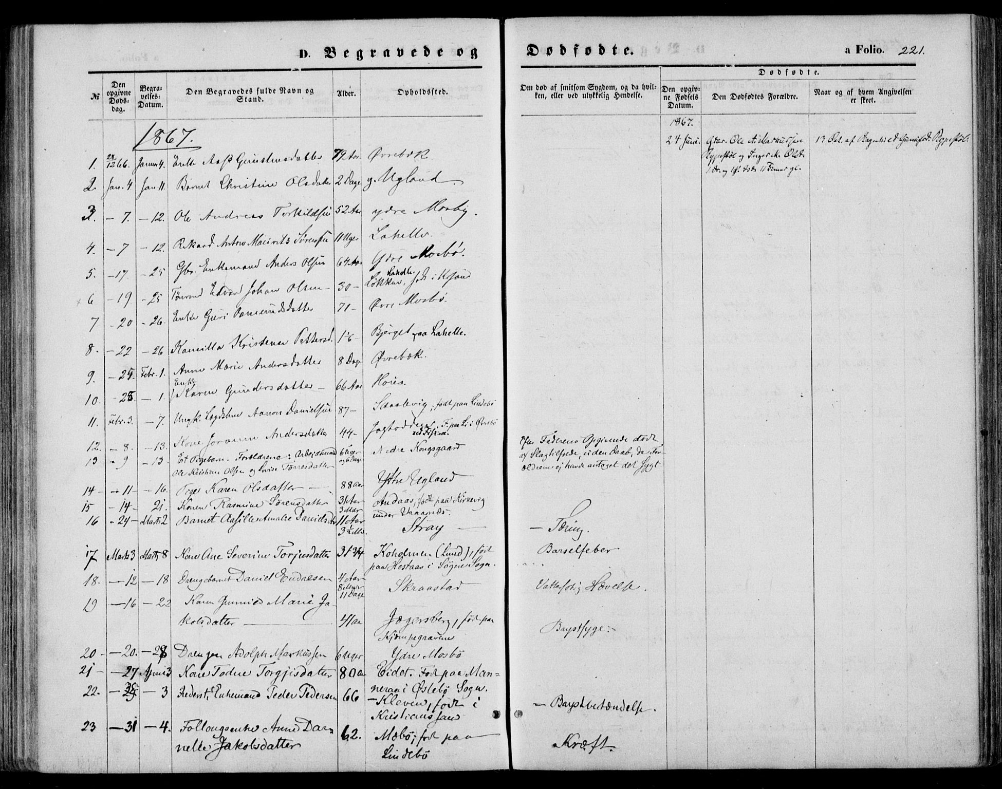 Oddernes sokneprestkontor, AV/SAK-1111-0033/F/Fa/Faa/L0008: Parish register (official) no. A 8, 1864-1880, p. 221