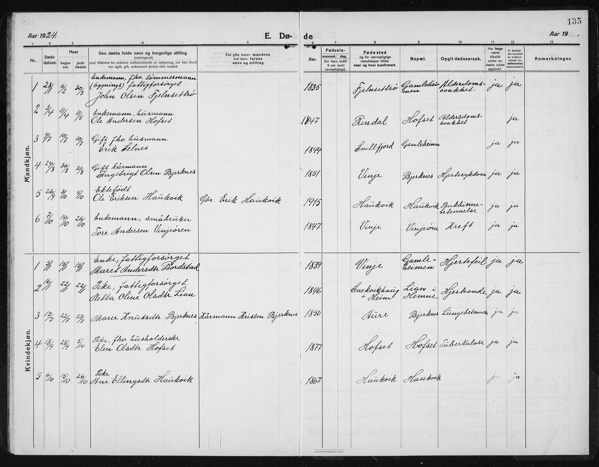 Ministerialprotokoller, klokkerbøker og fødselsregistre - Sør-Trøndelag, AV/SAT-A-1456/631/L0515: Parish register (copy) no. 631C03, 1913-1939, p. 135