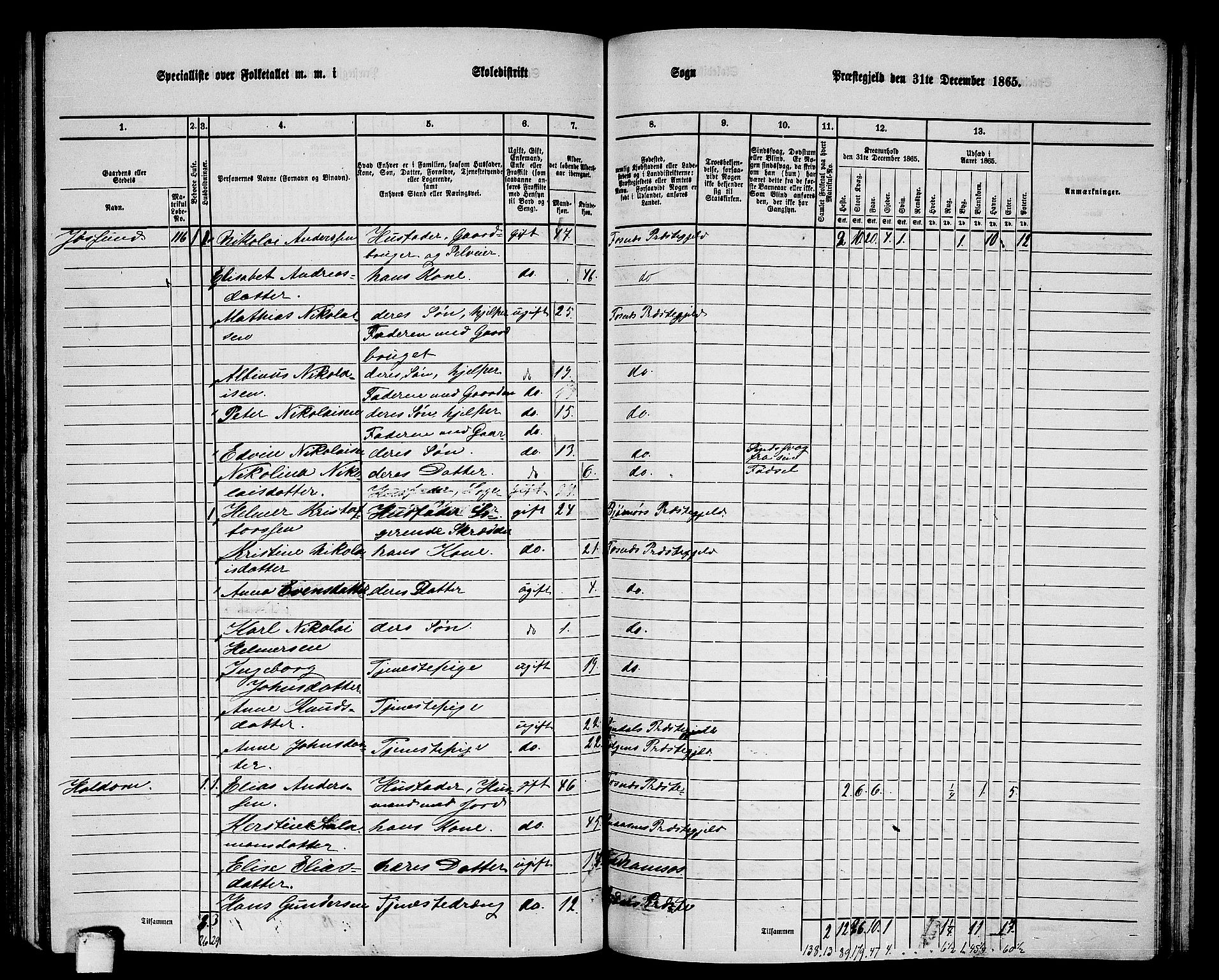 RA, 1865 census for Fosnes, 1865, p. 111