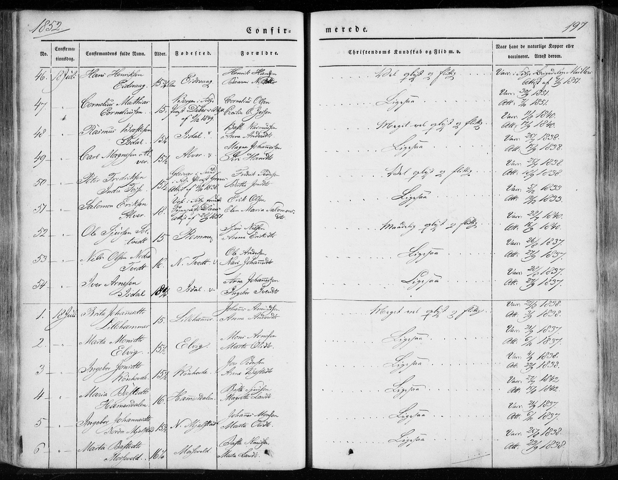 Hamre sokneprestembete, AV/SAB-A-75501/H/Ha/Haa/Haaa/L0013: Parish register (official) no. A 13, 1846-1857, p. 197