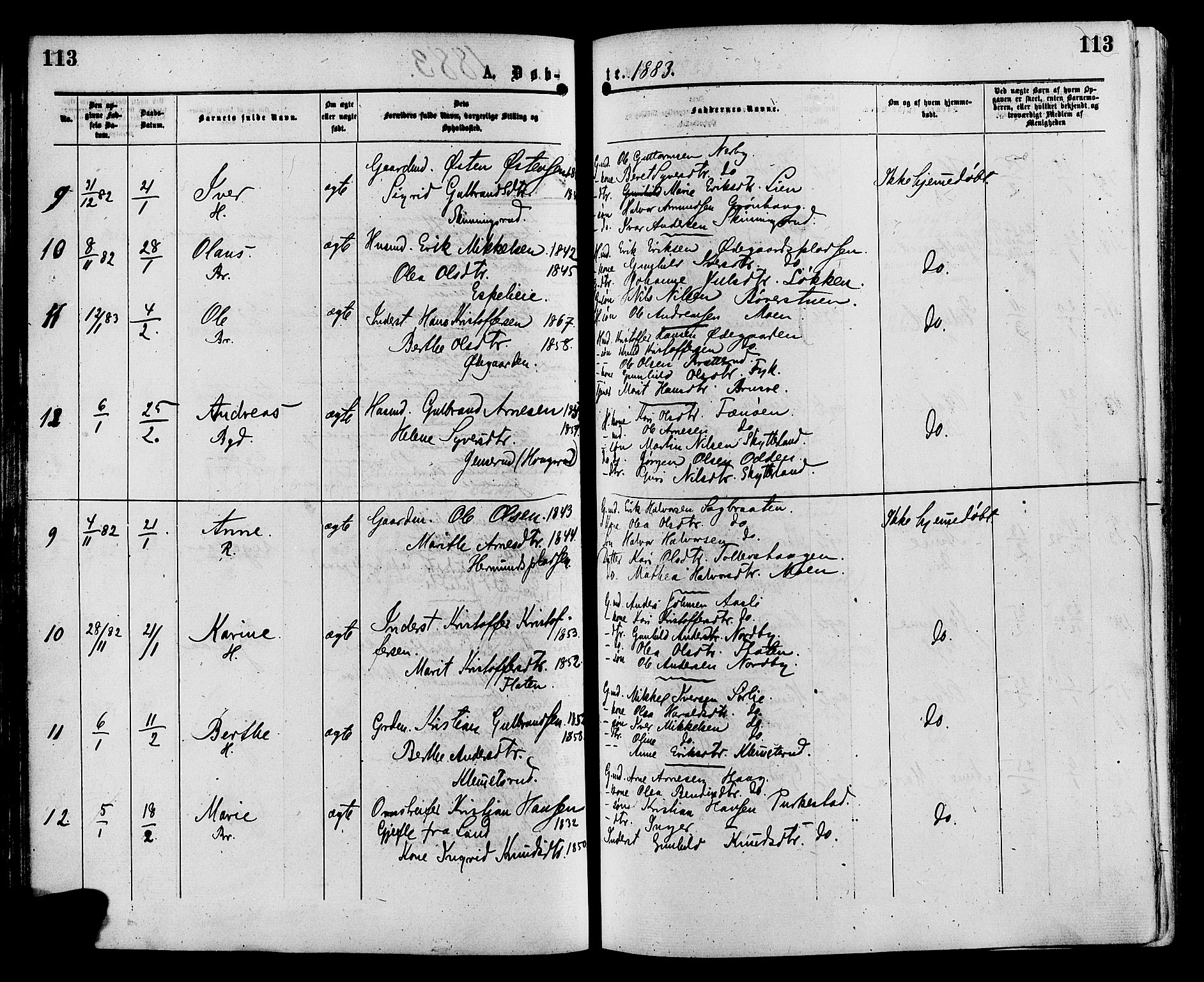 Sør-Aurdal prestekontor, SAH/PREST-128/H/Ha/Haa/L0008: Parish register (official) no. 8, 1877-1885, p. 113