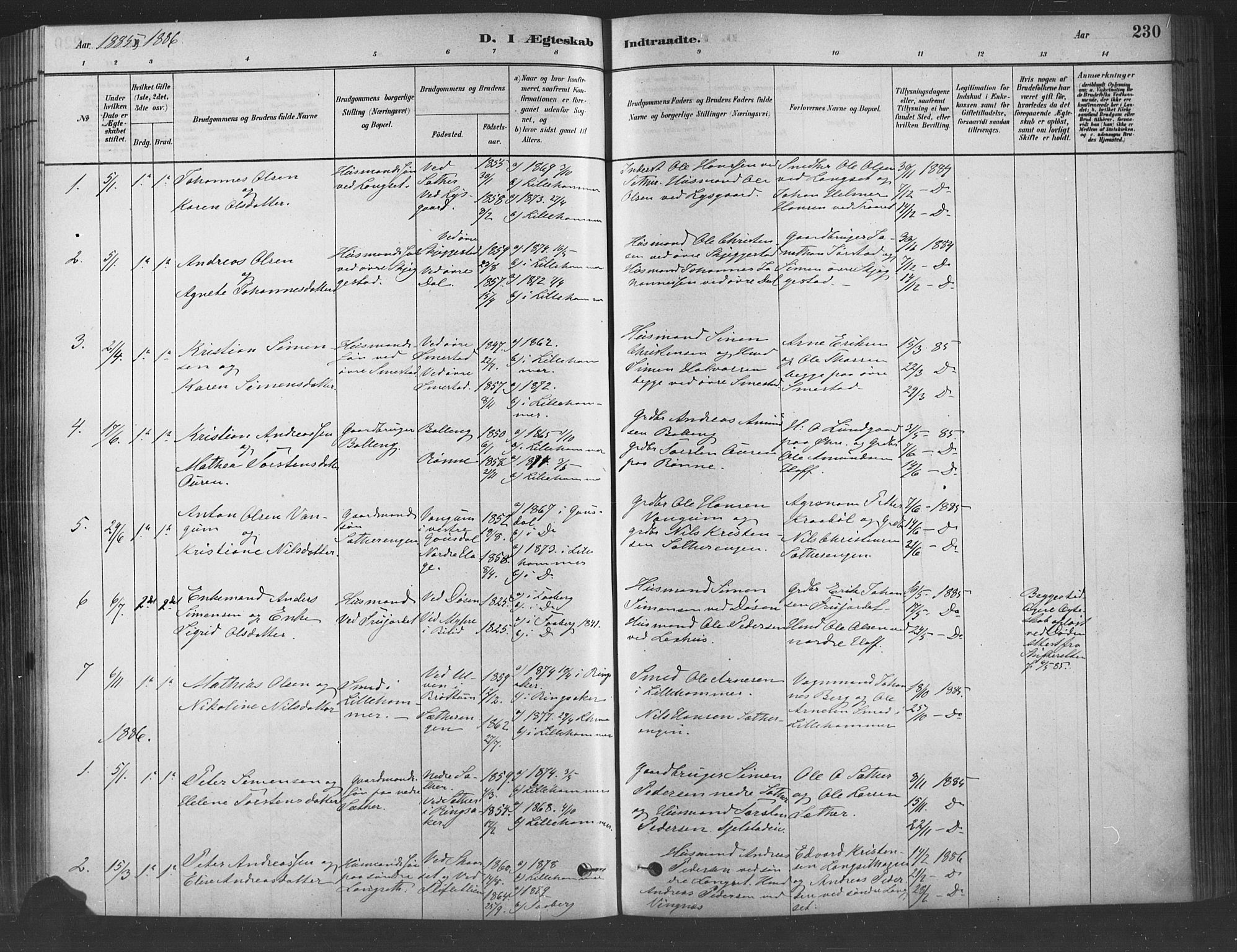Fåberg prestekontor, SAH/PREST-086/H/Ha/Haa/L0009: Parish register (official) no. 9, 1879-1898, p. 230