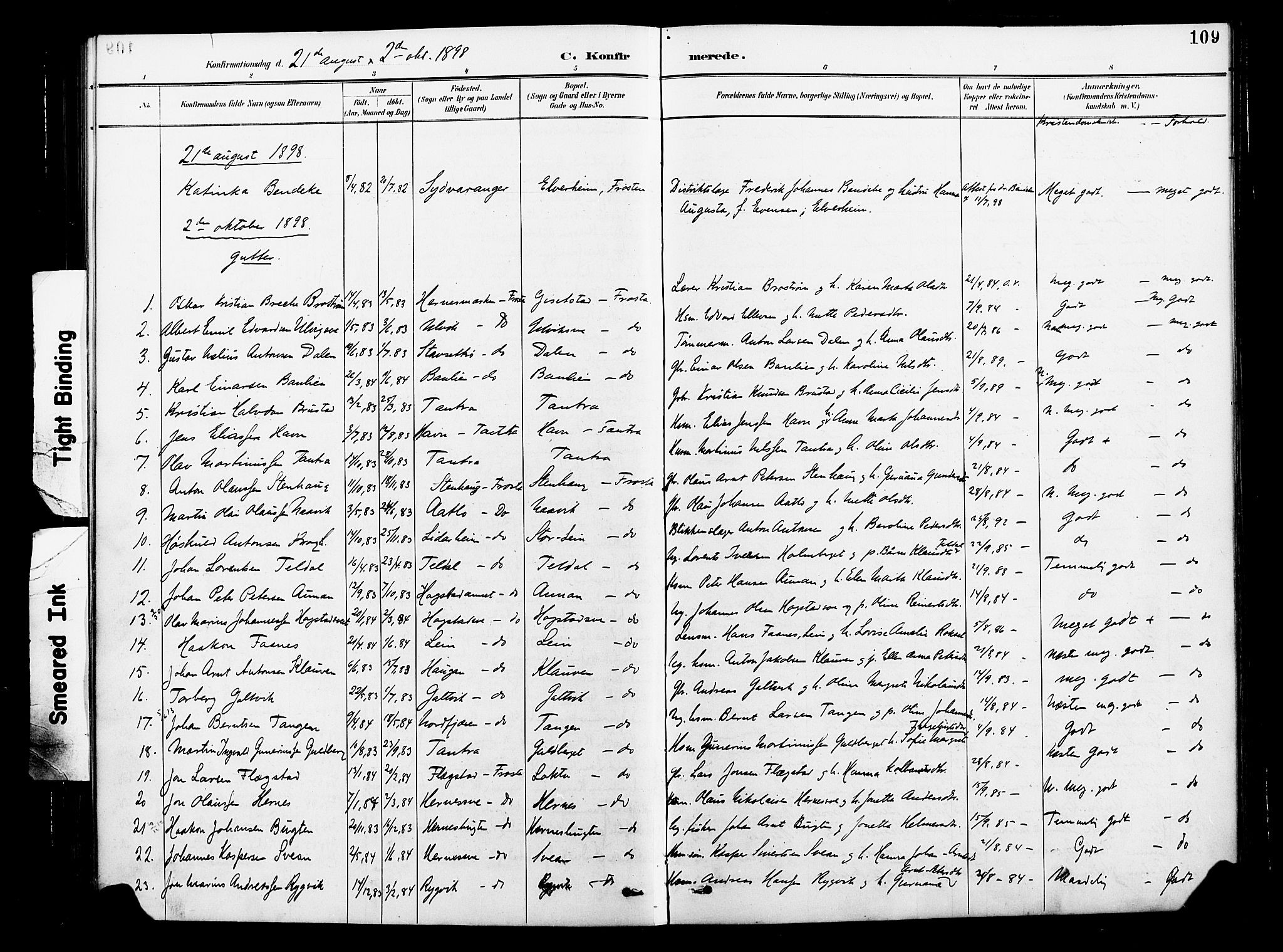 Ministerialprotokoller, klokkerbøker og fødselsregistre - Nord-Trøndelag, SAT/A-1458/713/L0121: Parish register (official) no. 713A10, 1888-1898, p. 109
