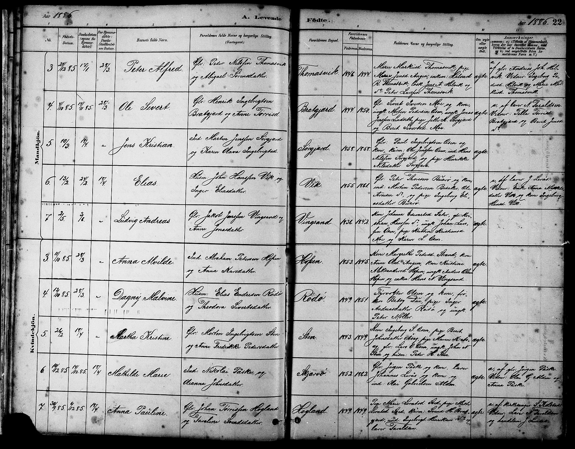Ministerialprotokoller, klokkerbøker og fødselsregistre - Sør-Trøndelag, SAT/A-1456/658/L0726: Parish register (copy) no. 658C02, 1883-1908, p. 22