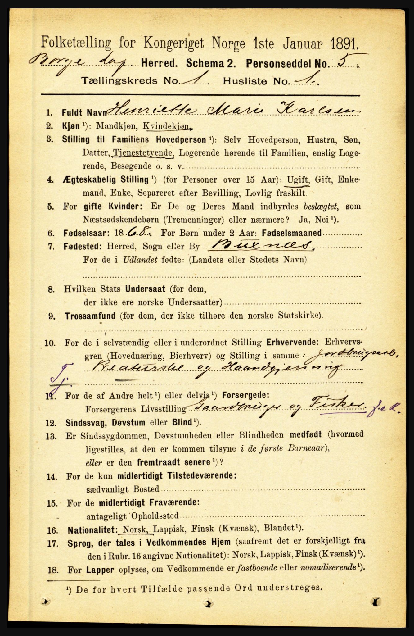 RA, 1891 census for 1862 Borge, 1891, p. 136