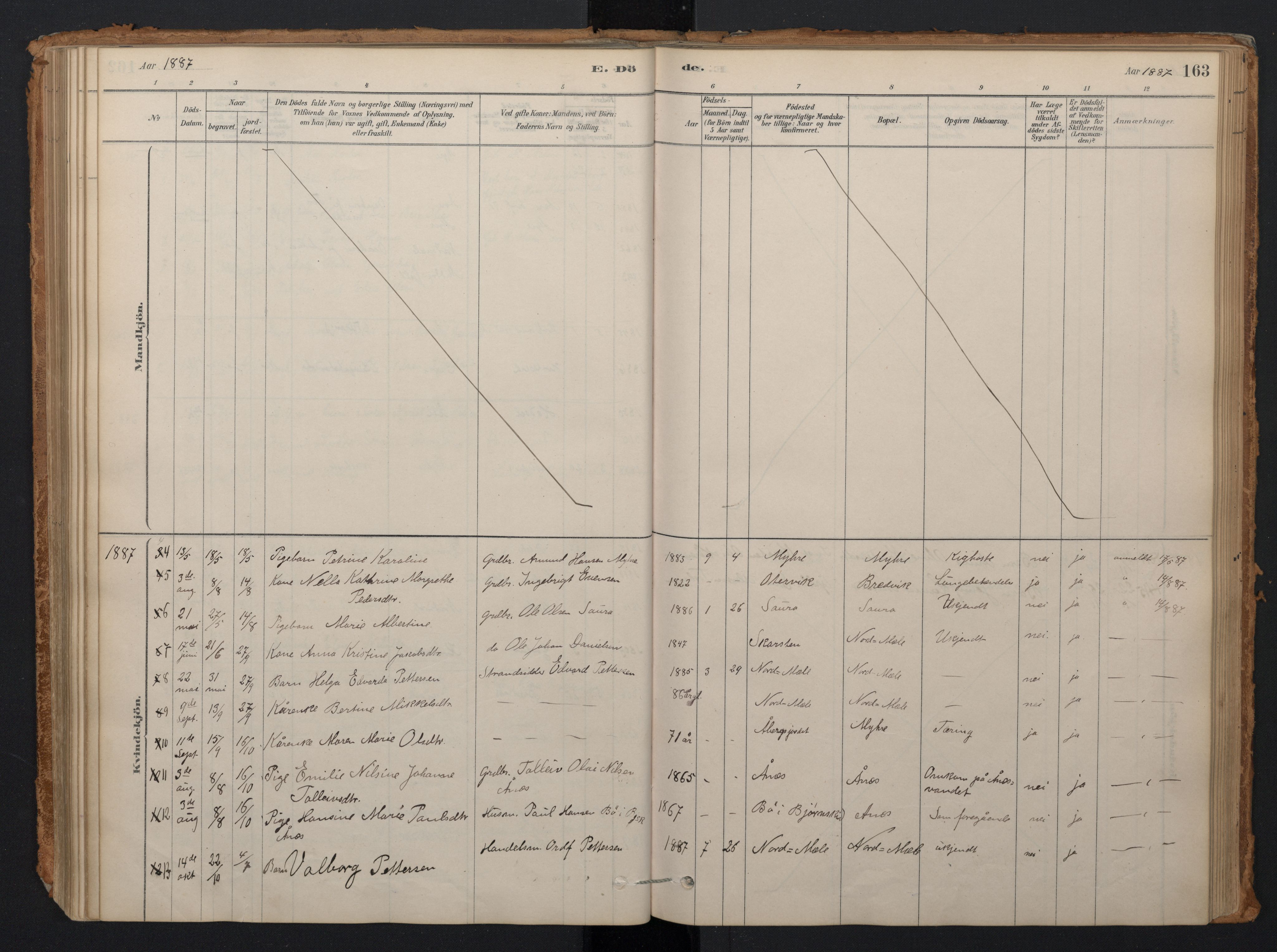 Ministerialprotokoller, klokkerbøker og fødselsregistre - Nordland, AV/SAT-A-1459/897/L1399: Parish register (official) no. 897A06, 1881-1896, p. 163