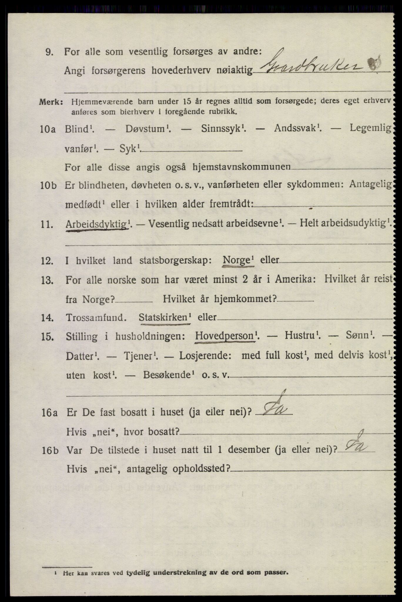 SAKO, 1920 census for Solum, 1920, p. 17033