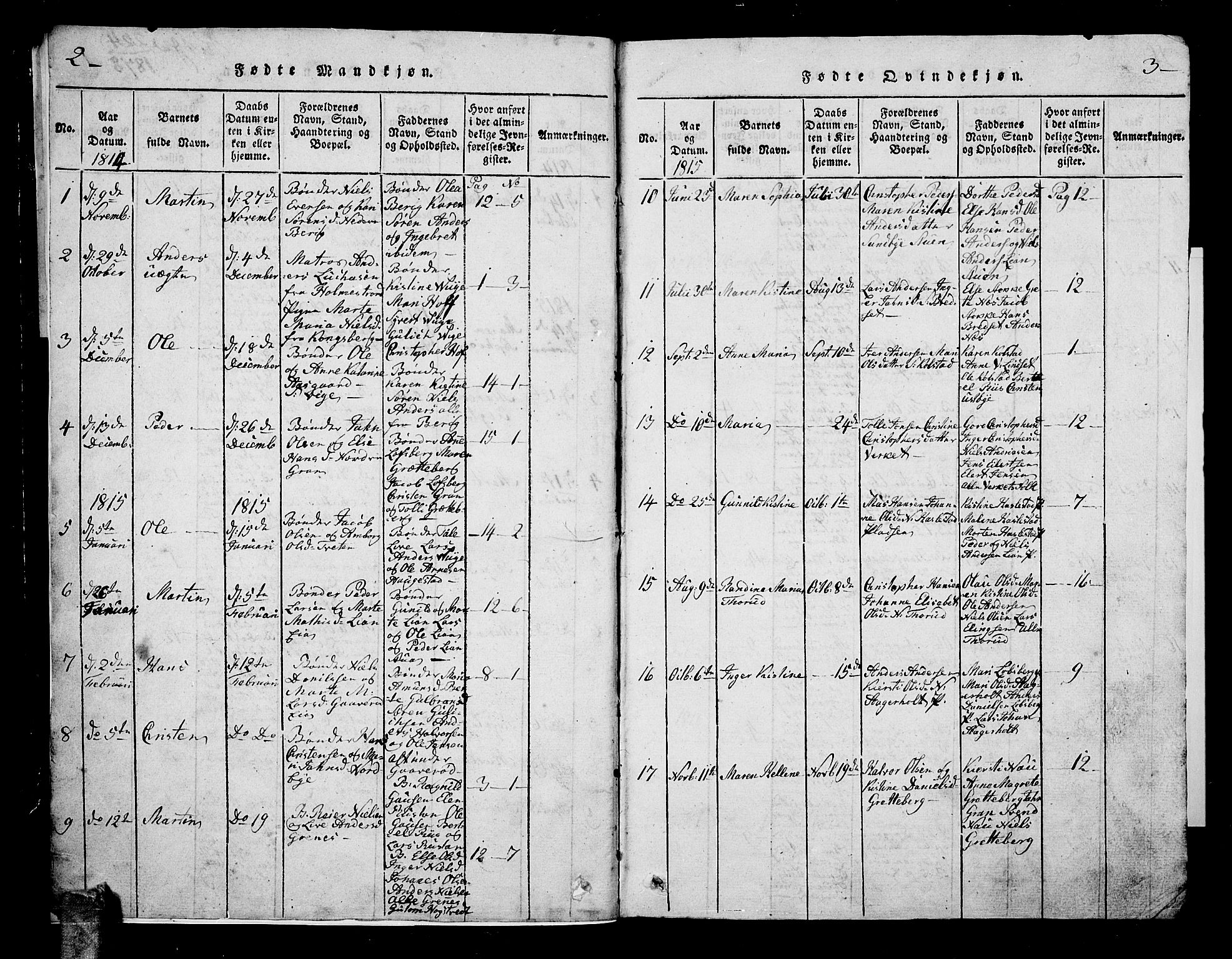 Hof kirkebøker, AV/SAKO-A-64/G/Ga/L0001: Parish register (copy) no. I 1, 1814-1844, p. 2-3