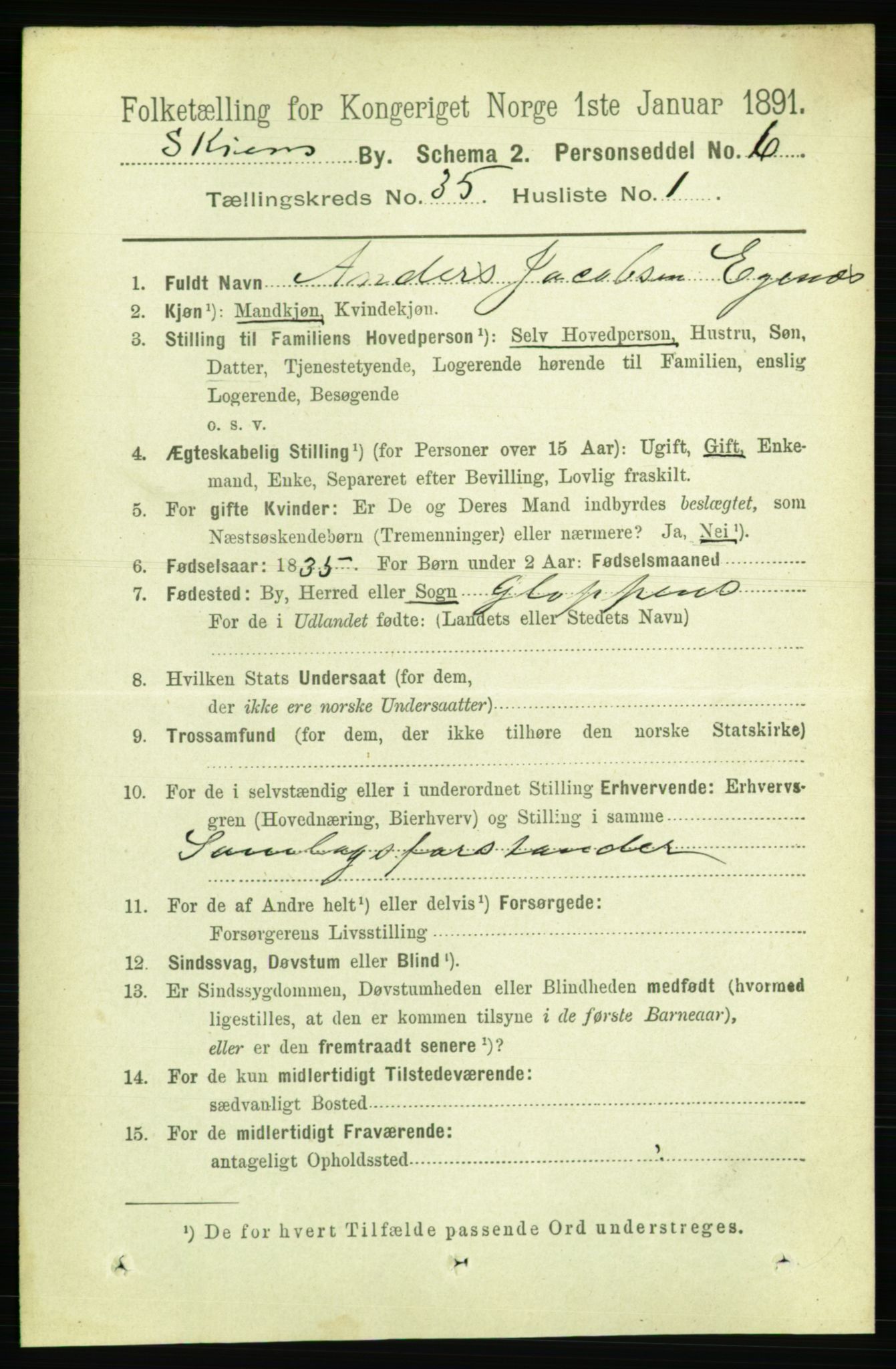 RA, 1891 census for 0806 Skien, 1891, p. 7820