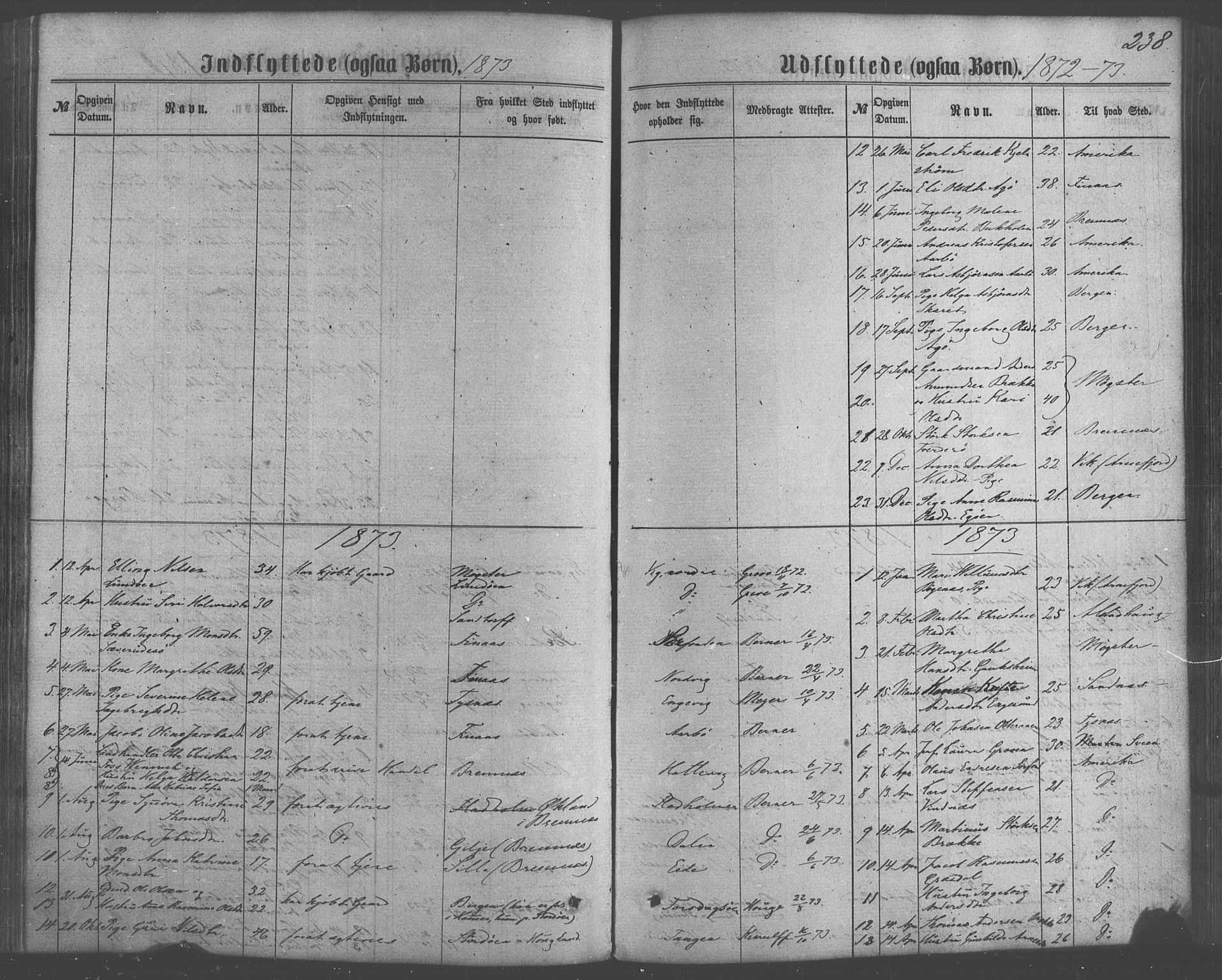 Fitjar sokneprestembete, SAB/A-99926: Parish register (official) no. A 1, 1862-1881, p. 238
