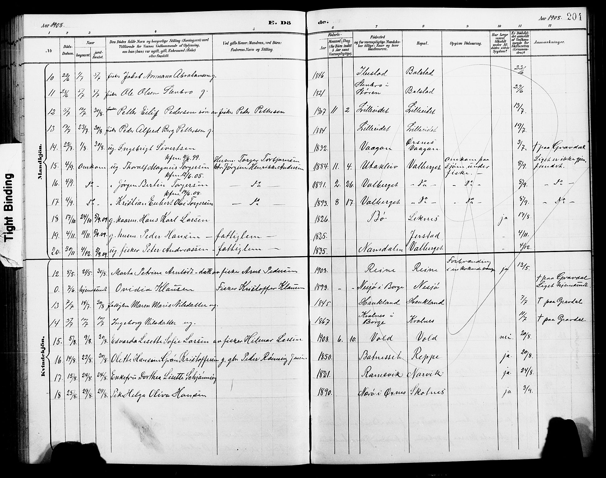 Ministerialprotokoller, klokkerbøker og fødselsregistre - Nordland, AV/SAT-A-1459/881/L1168: Parish register (copy) no. 881C05, 1900-1911, p. 204