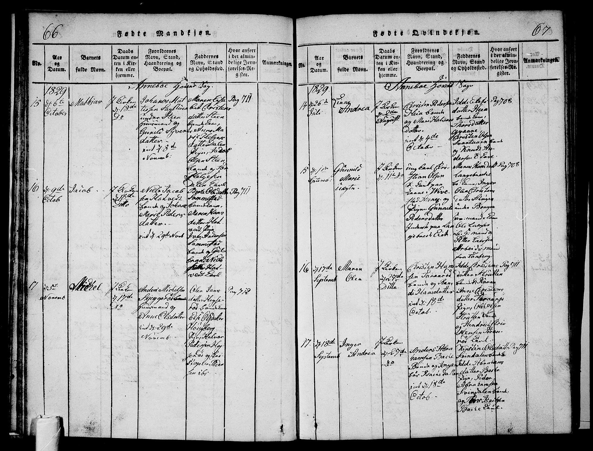 Andebu kirkebøker, AV/SAKO-A-336/G/Ga/L0002: Parish register (copy) no. I 2 /1, 1823-1832, p. 66-67