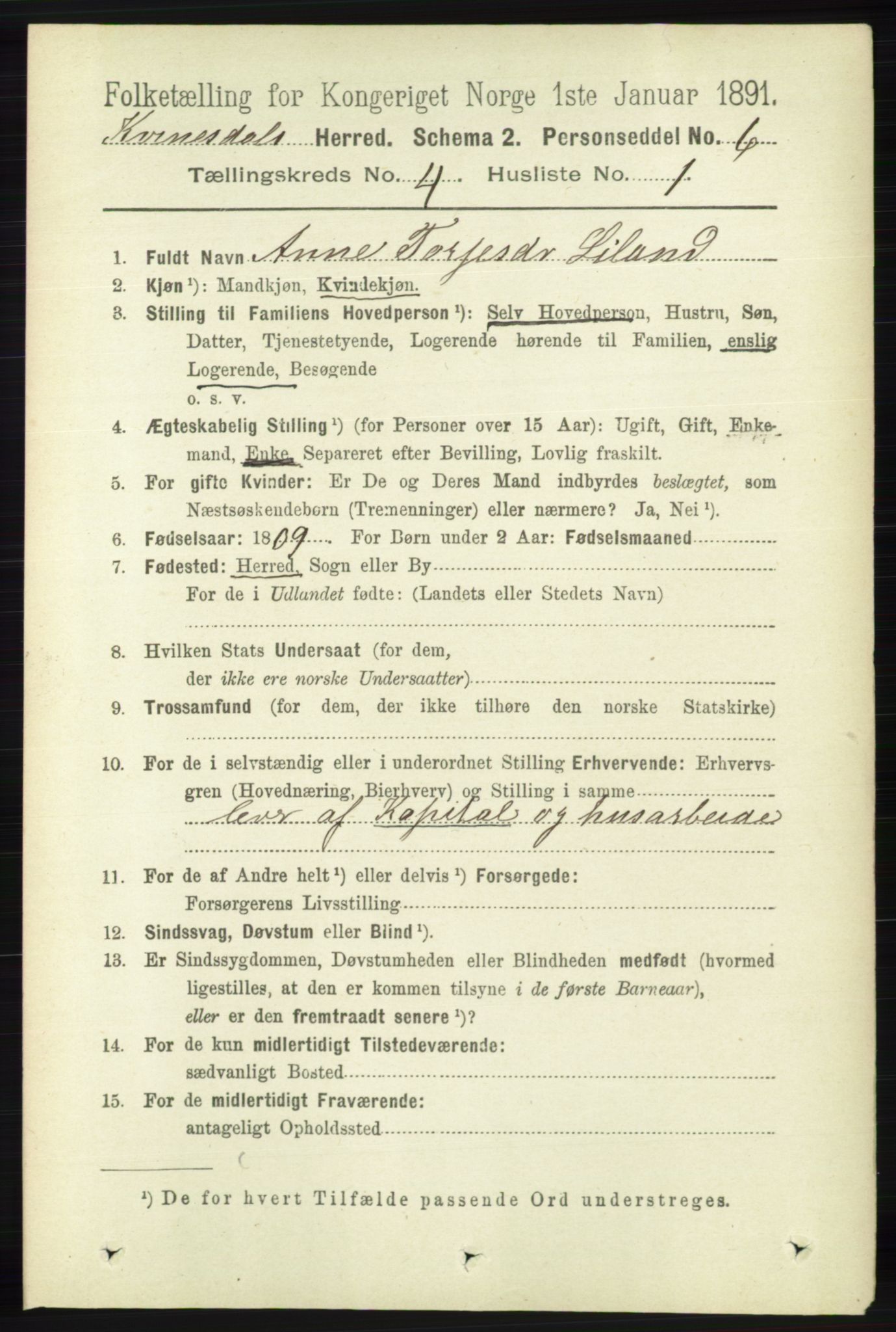 RA, 1891 census for 1037 Kvinesdal, 1891, p. 1437