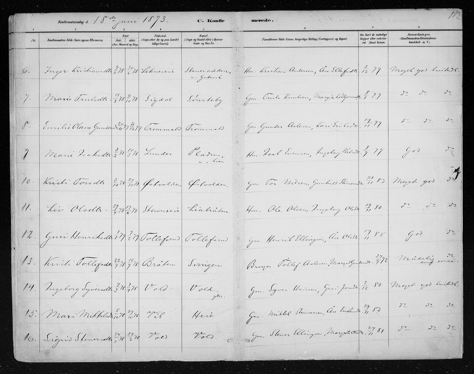 Nes kirkebøker, AV/SAKO-A-236/F/Fa/L0012: Parish register (official) no. 12, 1881-1917, p. 193