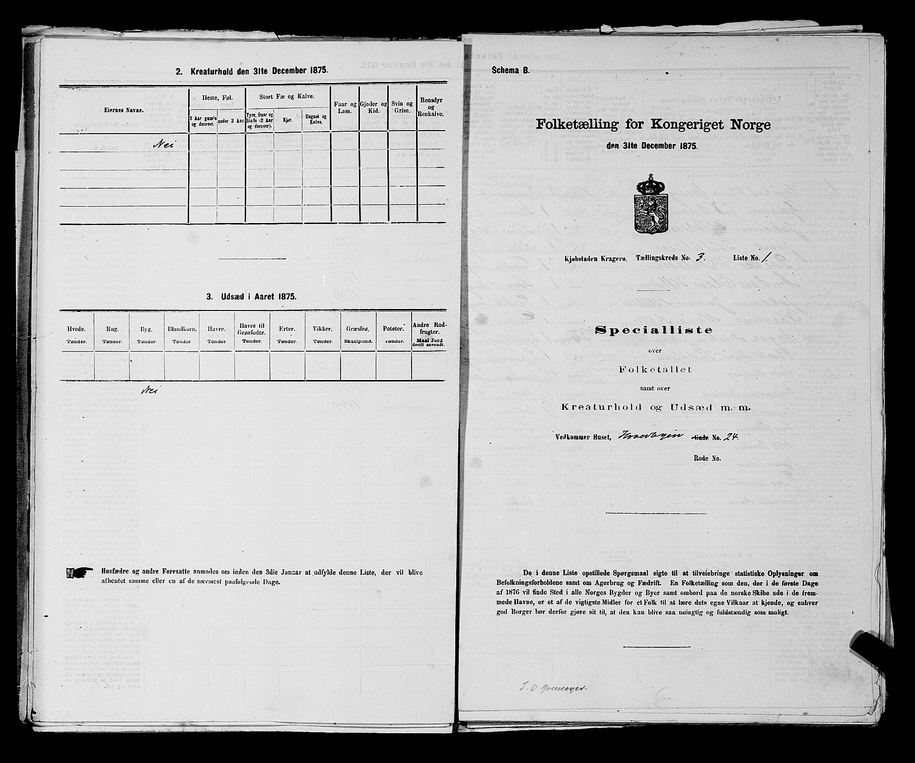 SAKO, 1875 census for 0801P Kragerø, 1875, p. 65