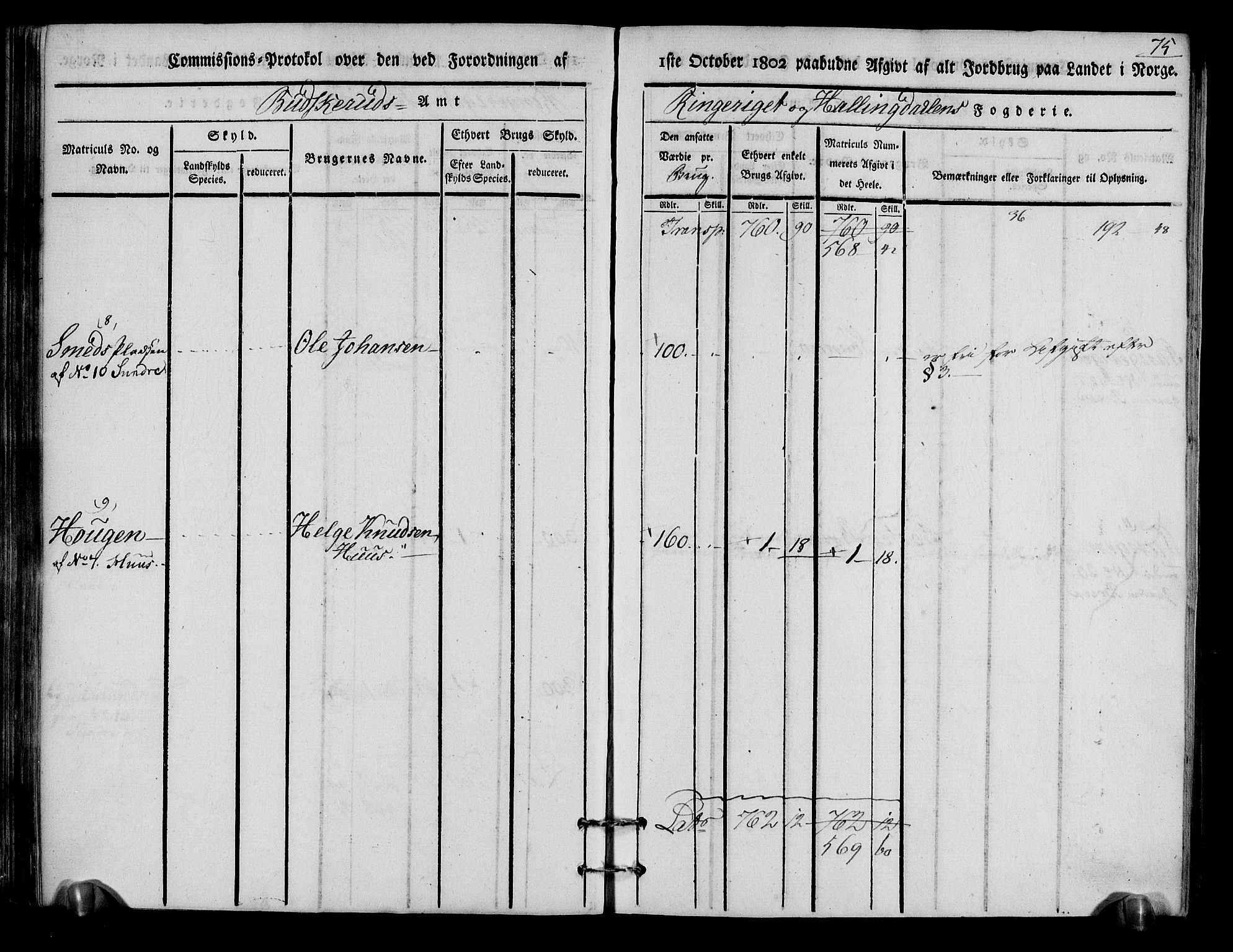 Rentekammeret inntil 1814, Realistisk ordnet avdeling, AV/RA-EA-4070/N/Ne/Nea/L0048: Ringerike og Hallingdal fogderi. Kommisjonsprotokoll for Ål prestegjeld, 1803, p. 79