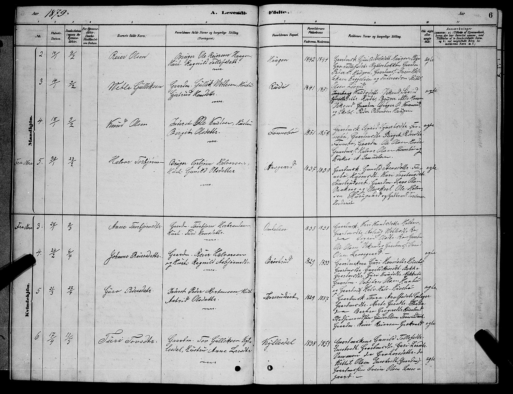 Nore kirkebøker, AV/SAKO-A-238/G/Gb/L0002: Parish register (copy) no. II 2, 1878-1894, p. 6