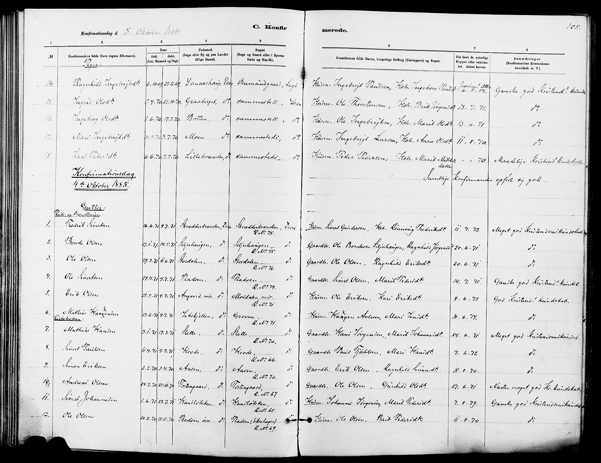 Dovre prestekontor, SAH/PREST-066/H/Ha/Haa/L0002: Parish register (official) no. 2, 1879-1890, p. 105