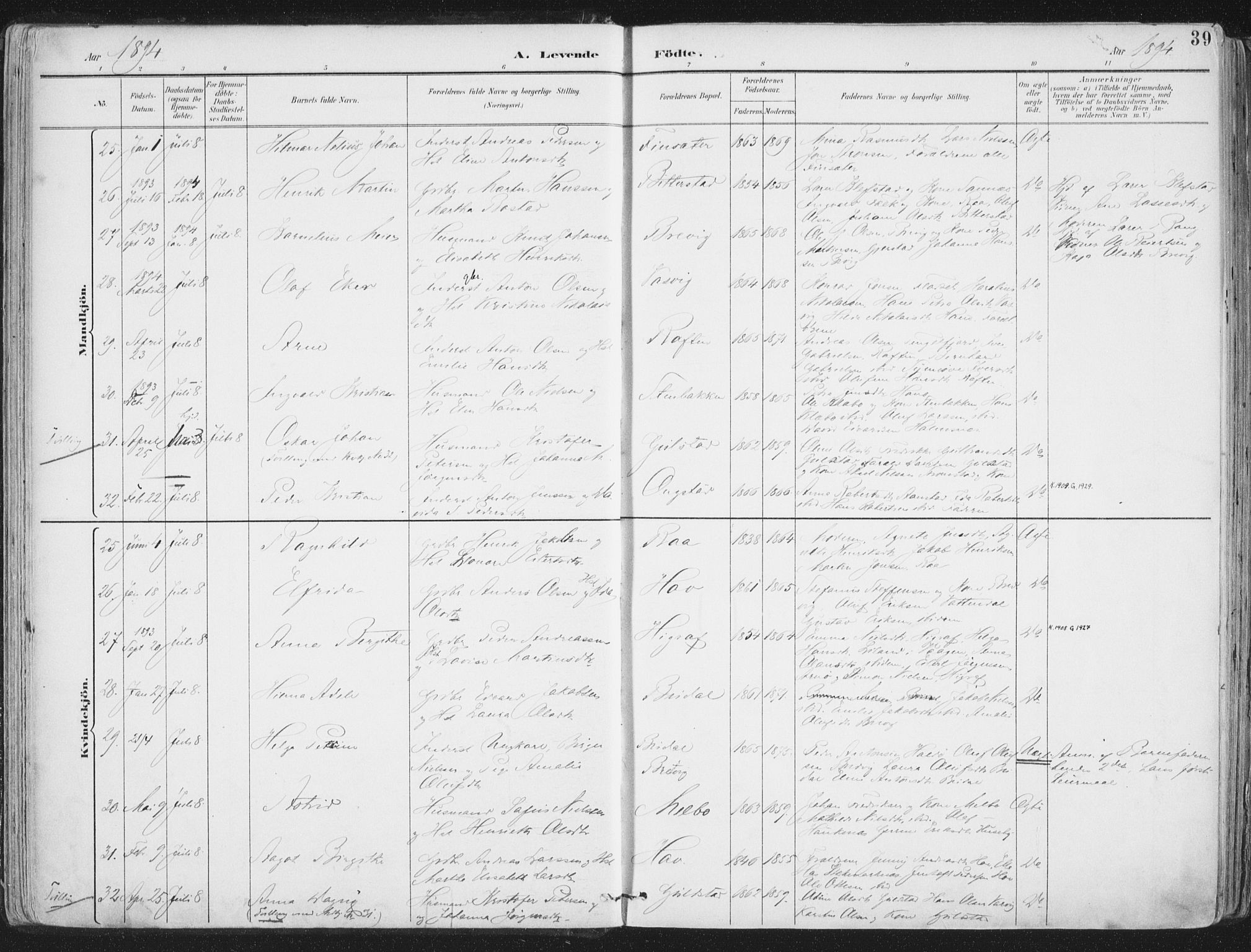 Ministerialprotokoller, klokkerbøker og fødselsregistre - Nordland, AV/SAT-A-1459/888/L1246: Parish register (official) no. 888A12, 1891-1903, p. 39