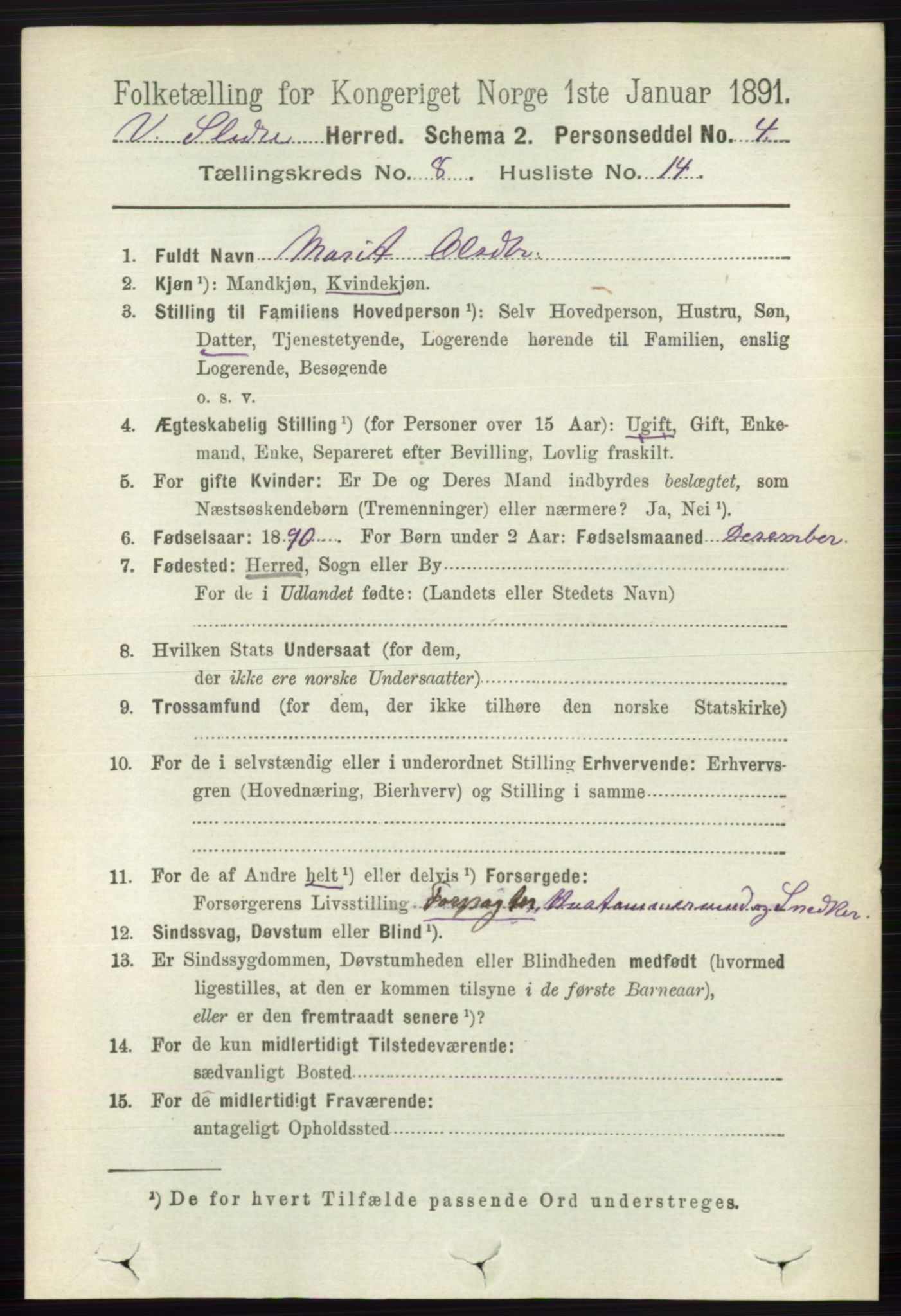 RA, 1891 census for 0543 Vestre Slidre, 1891, p. 3058