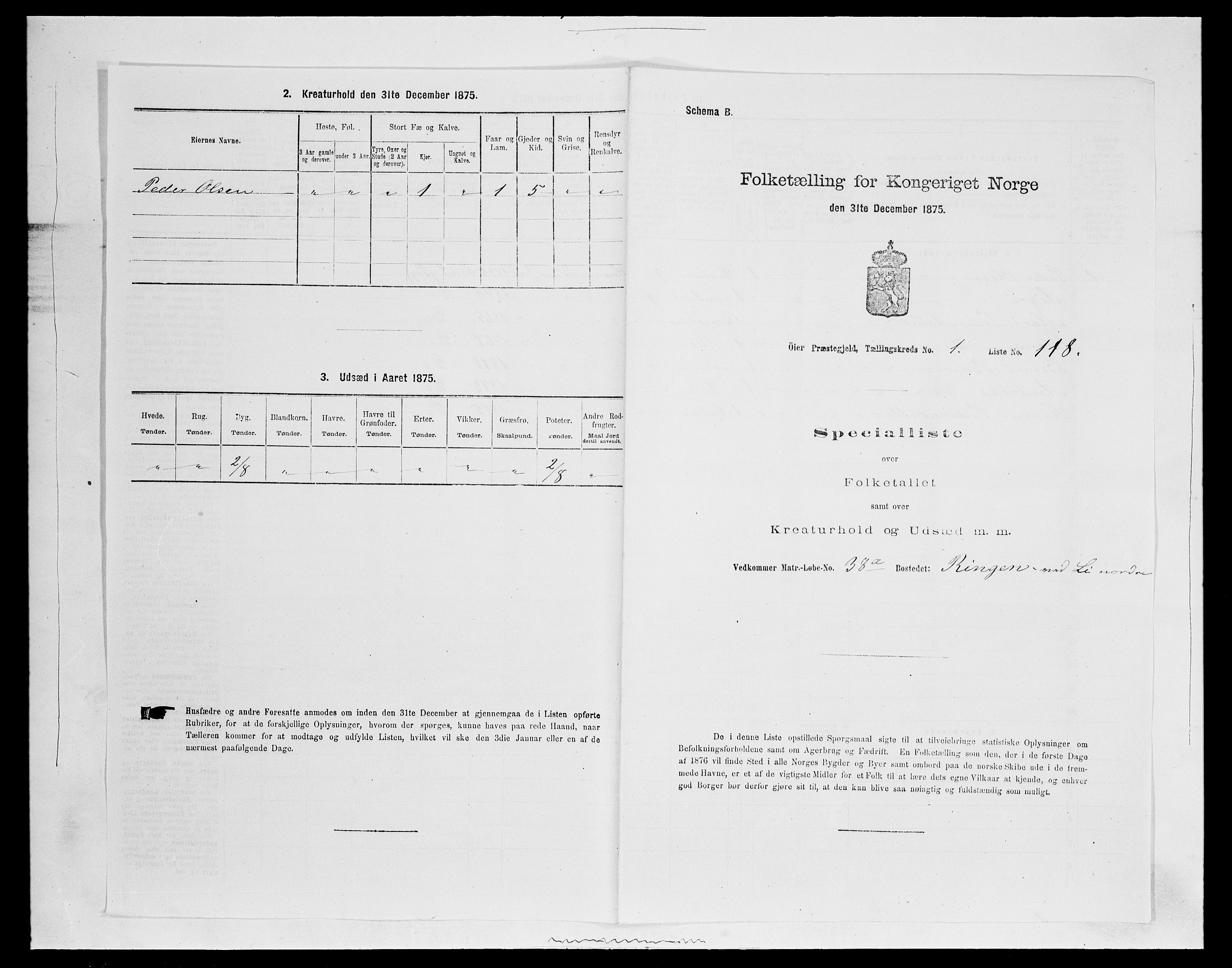 SAH, 1875 census for 0521P Øyer, 1875, p. 325