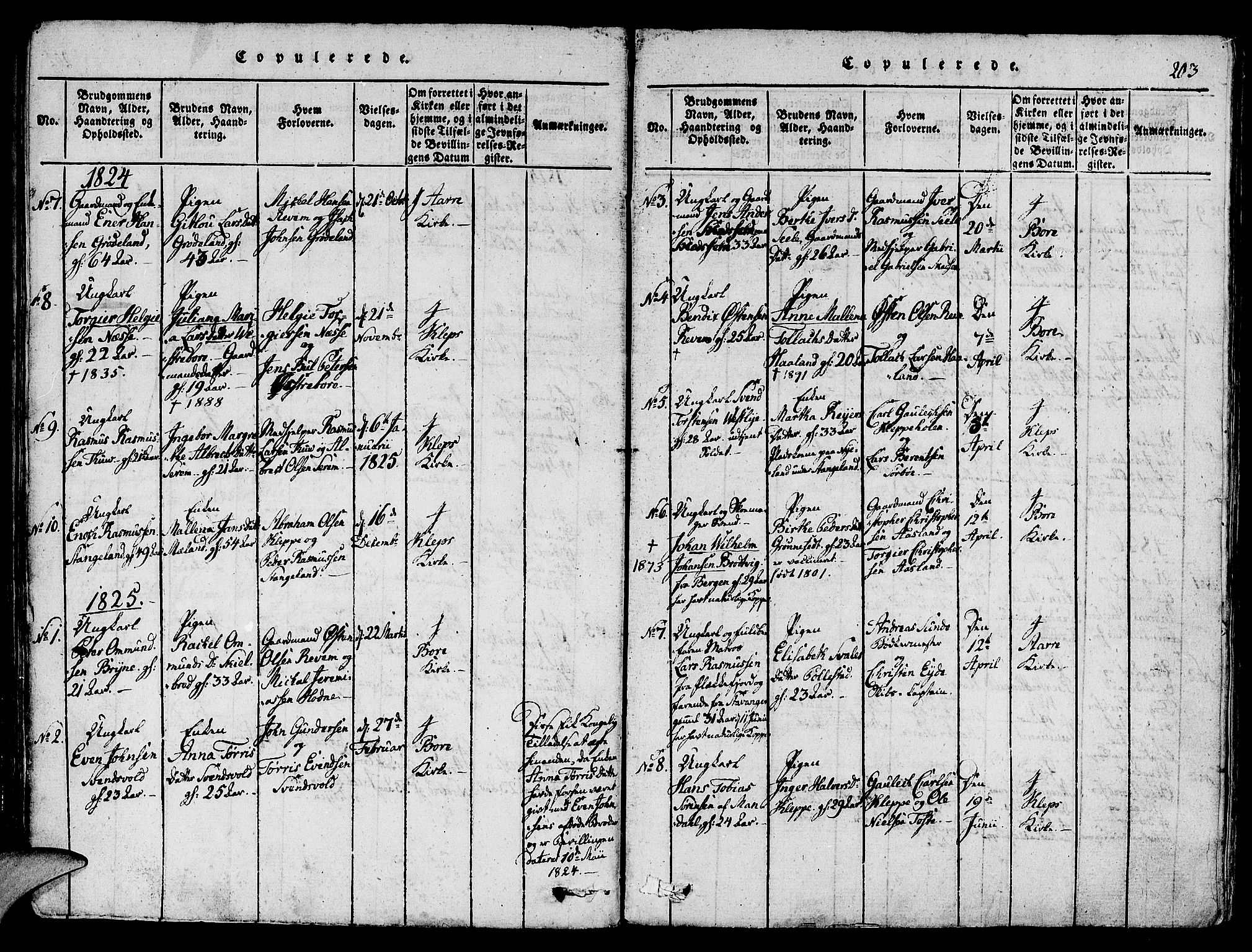 Klepp sokneprestkontor, SAST/A-101803/001/3/30BA/L0002: Parish register (official) no. A 2, 1816-1833, p. 203