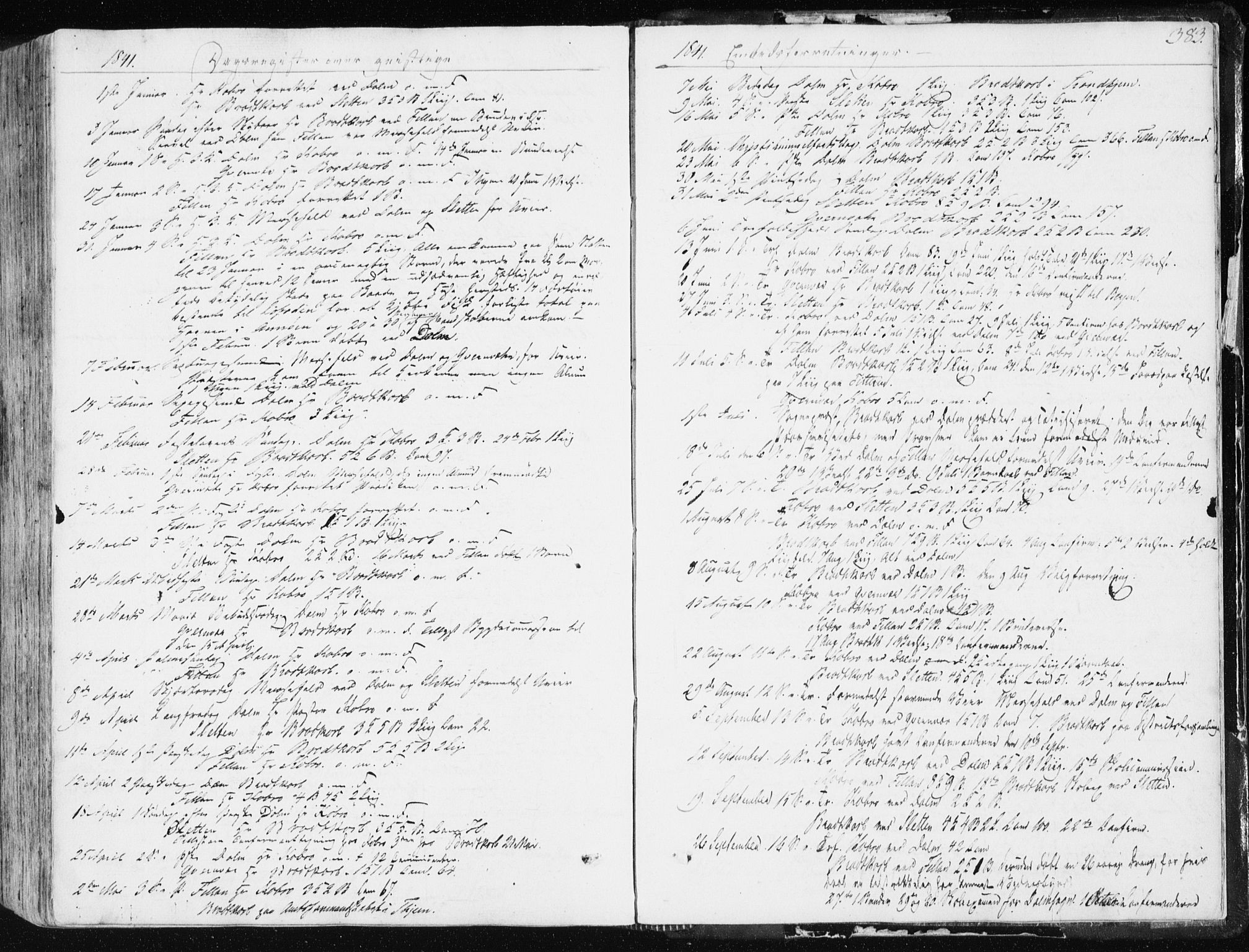 Ministerialprotokoller, klokkerbøker og fødselsregistre - Sør-Trøndelag, SAT/A-1456/634/L0528: Parish register (official) no. 634A04, 1827-1842, p. 383