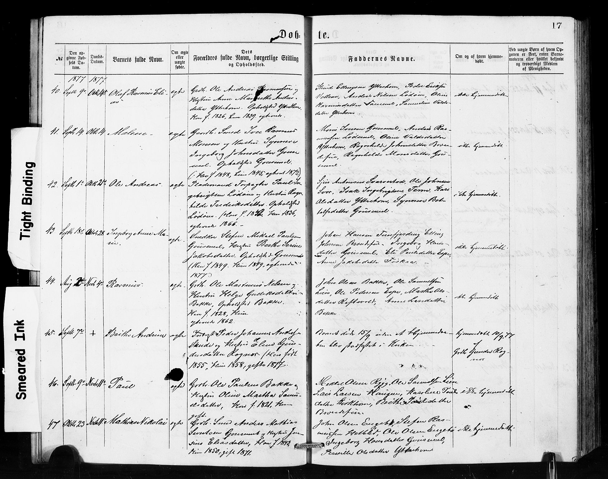 Hornindal sokneprestembete, AV/SAB-A-82401/H/Hab: Parish register (copy) no. A 1, 1876-1894, p. 17