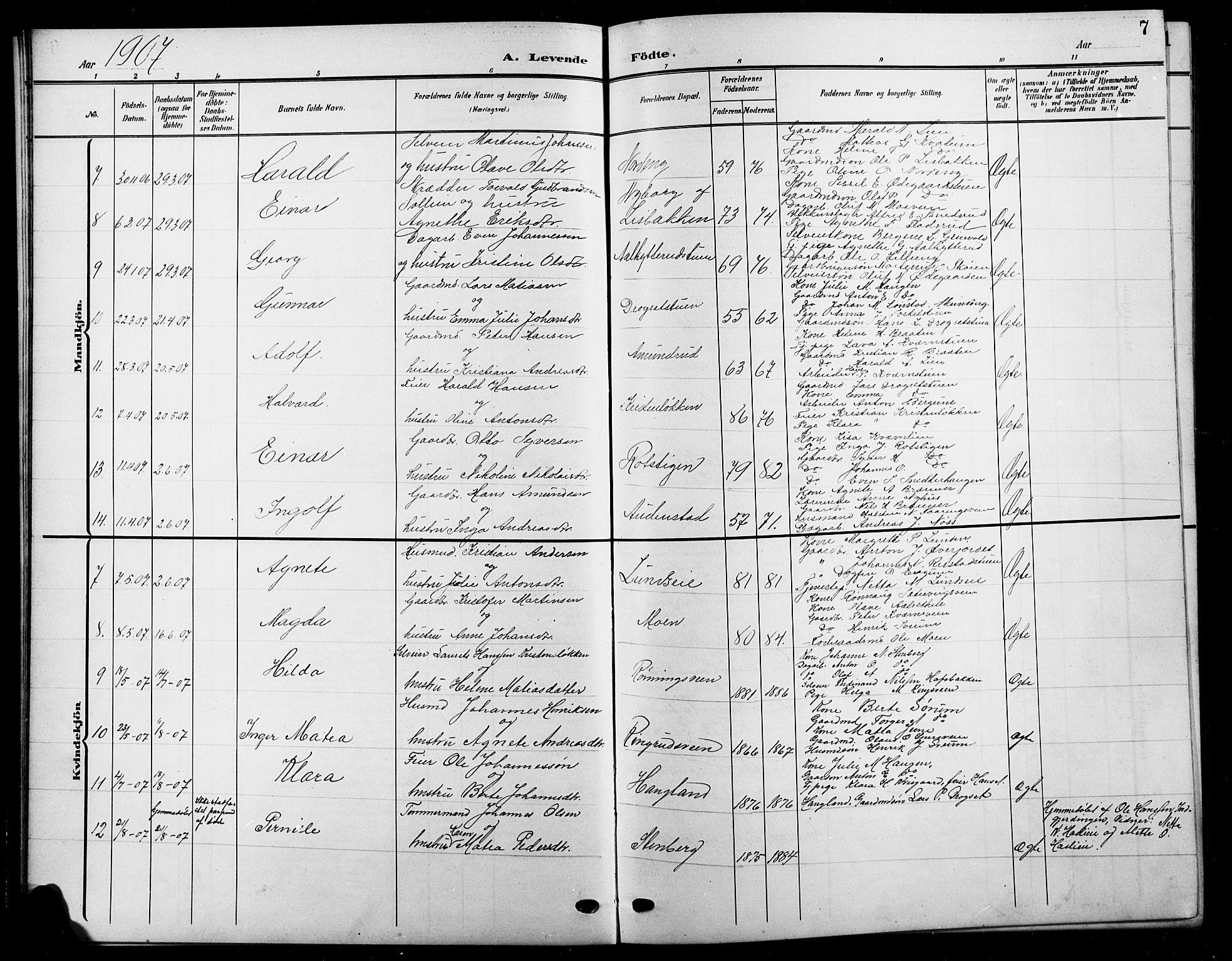 Biri prestekontor, SAH/PREST-096/H/Ha/Hab/L0005: Parish register (copy) no. 5, 1906-1919, p. 7