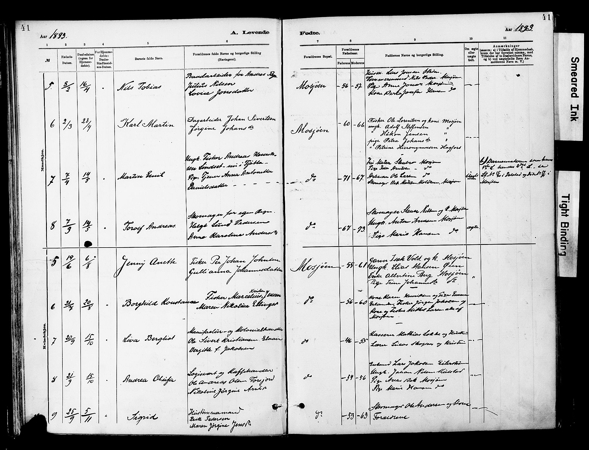 Ministerialprotokoller, klokkerbøker og fødselsregistre - Nordland, SAT/A-1459/820/L0296: Parish register (official) no. 820A17, 1880-1903, p. 41