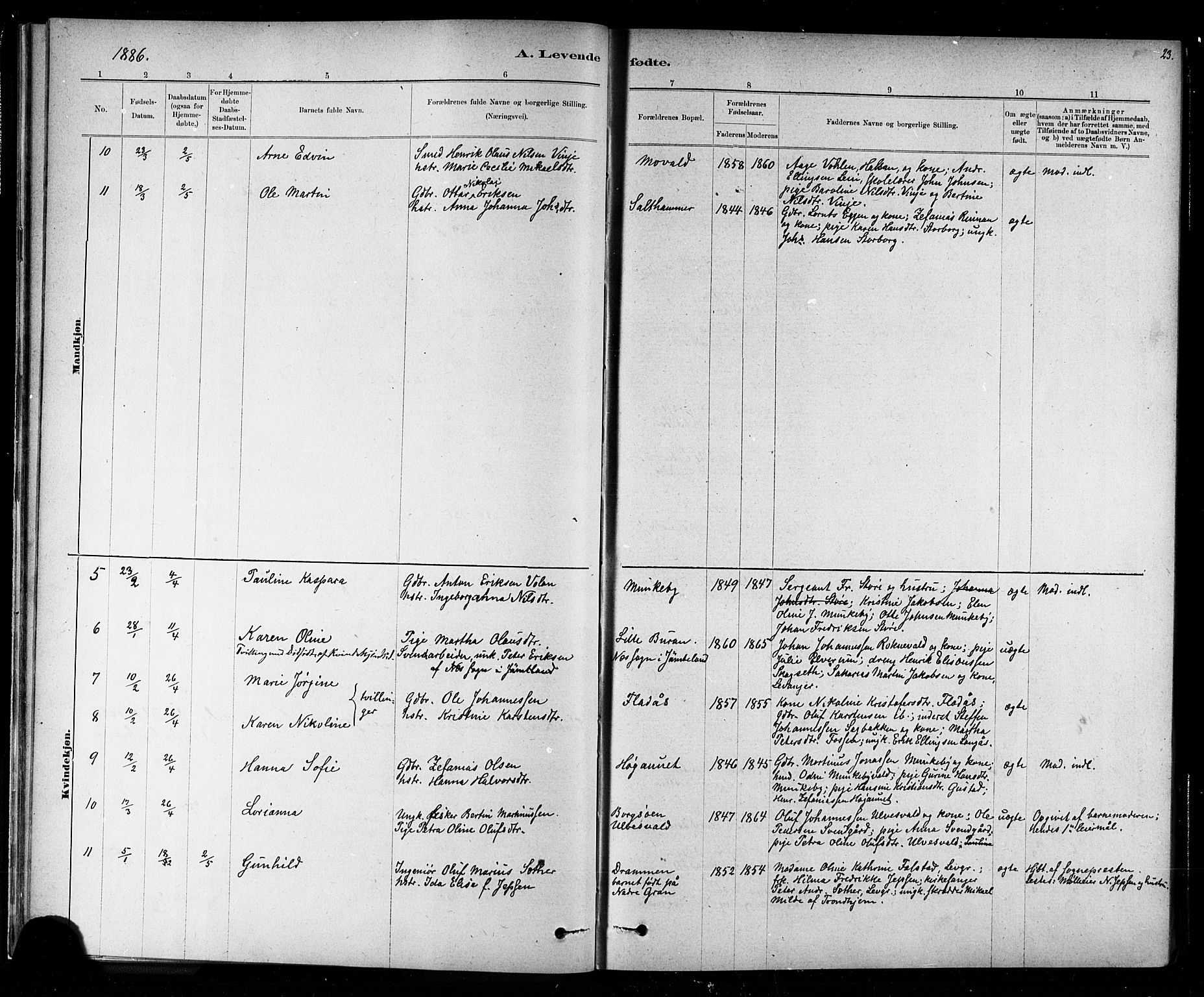 Ministerialprotokoller, klokkerbøker og fødselsregistre - Nord-Trøndelag, AV/SAT-A-1458/721/L0208: Parish register (copy) no. 721C01, 1880-1917, p. 23